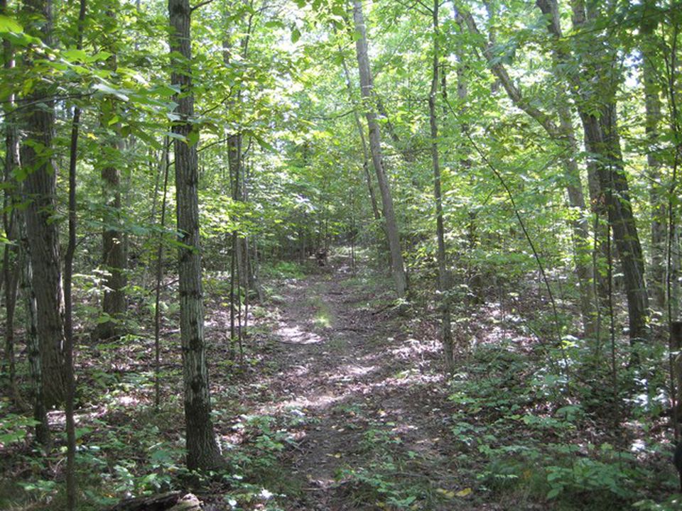 Whitetail Ridge Farm