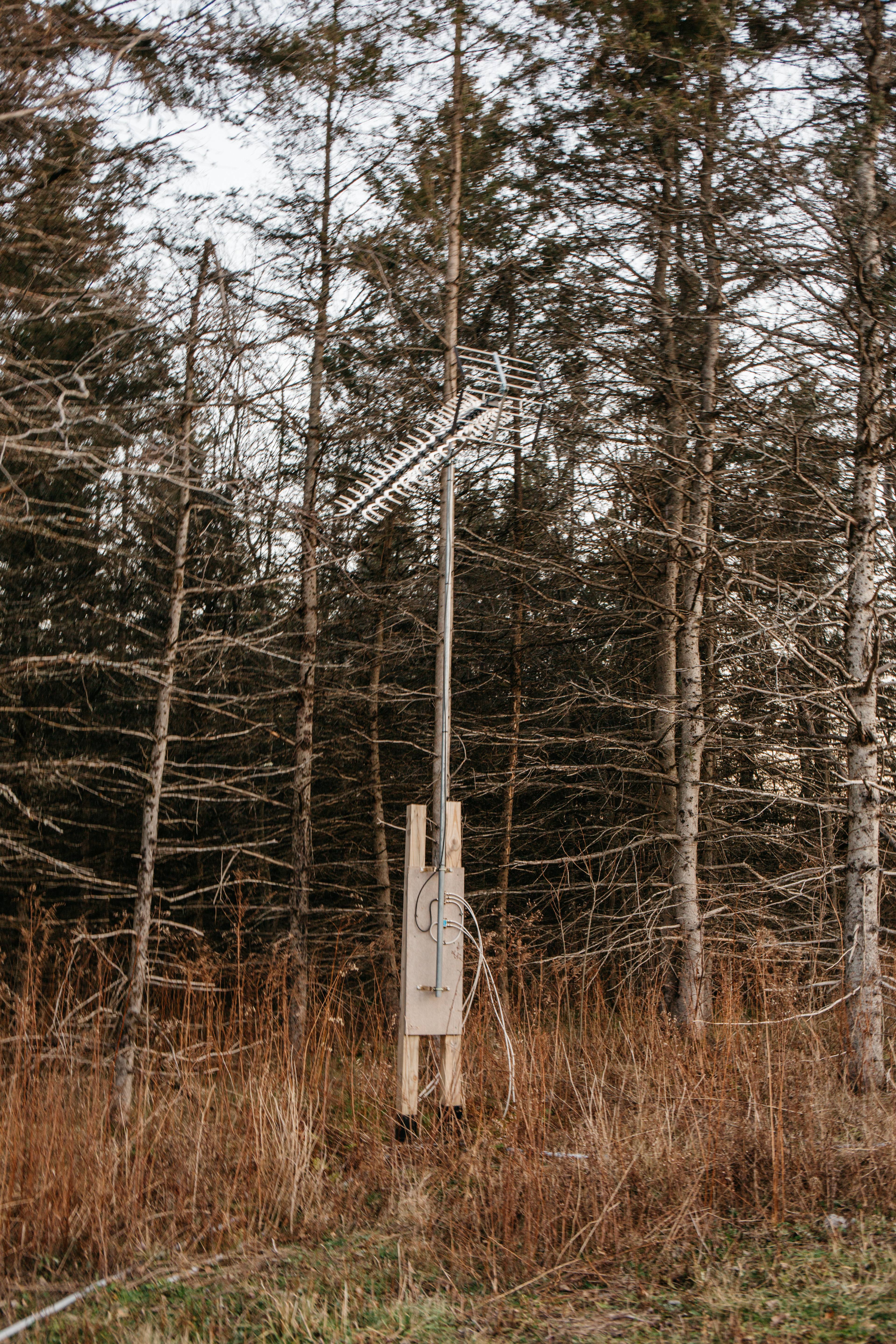 Every cabin has a connection to a satellite TV. 