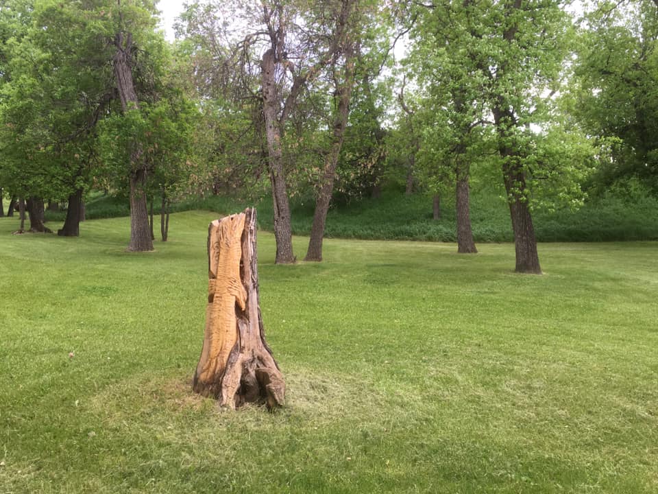 Screaming Eagle Campground