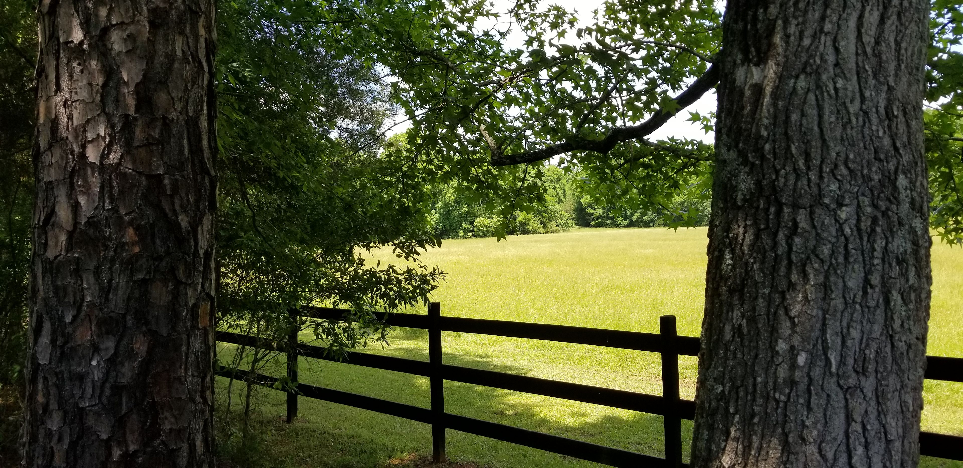 Mike's country home and land