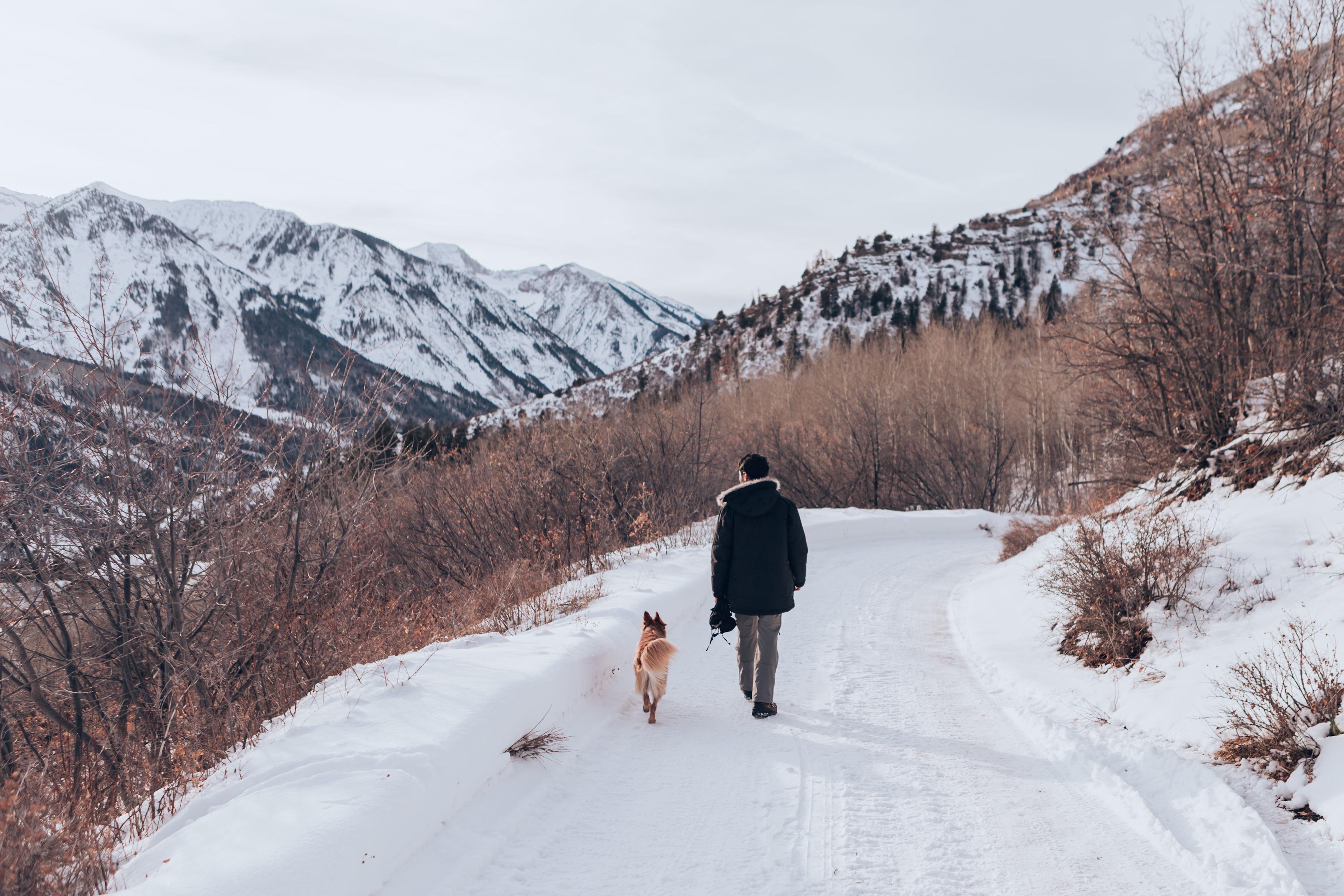 So much fun walking around in the snow. The roads are snow packed (in December), but the area is well maintained and even plowed, so we had no trouble coming up in a Honda CRV 4WD.
