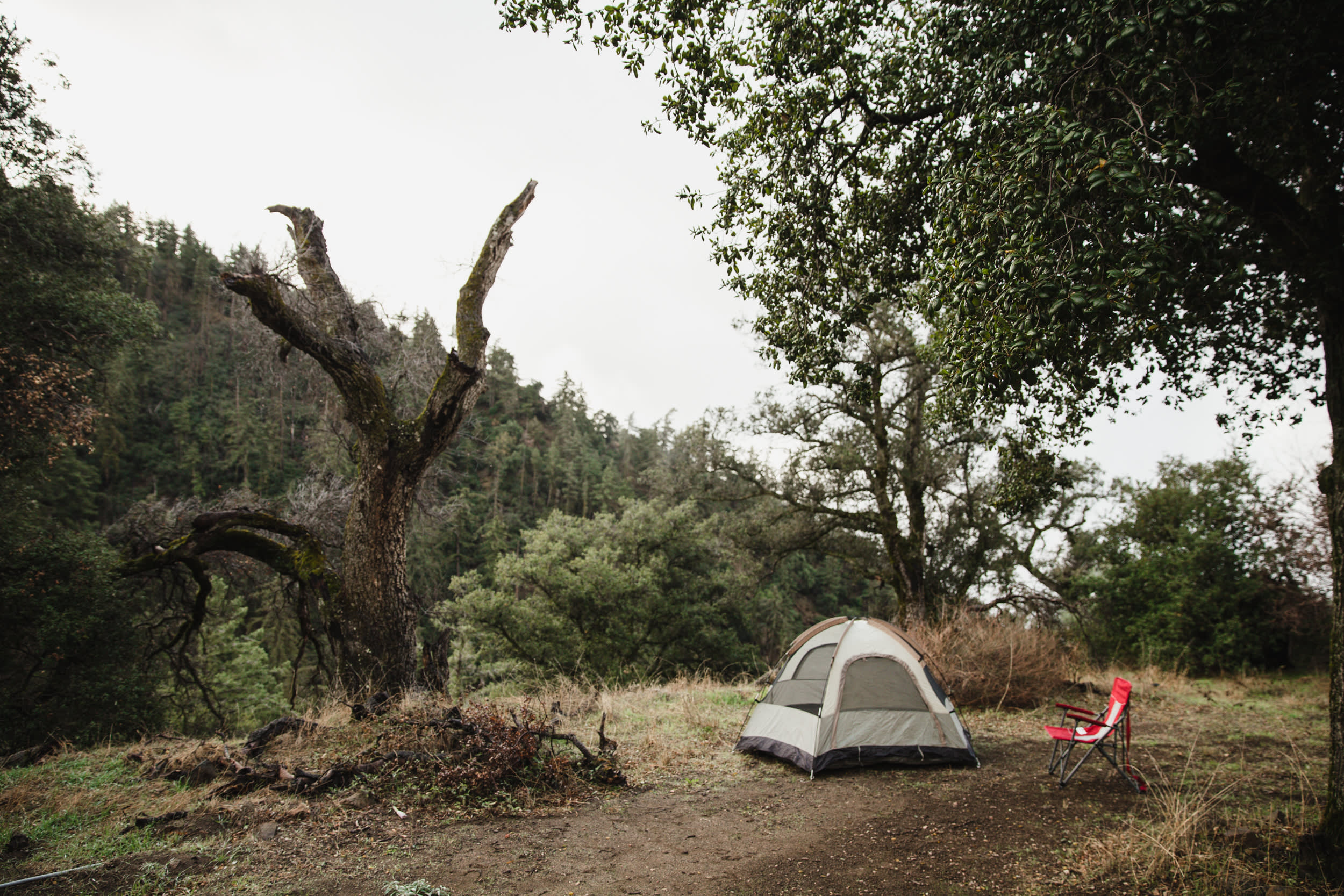 The property provided an excellent option for primitive camping