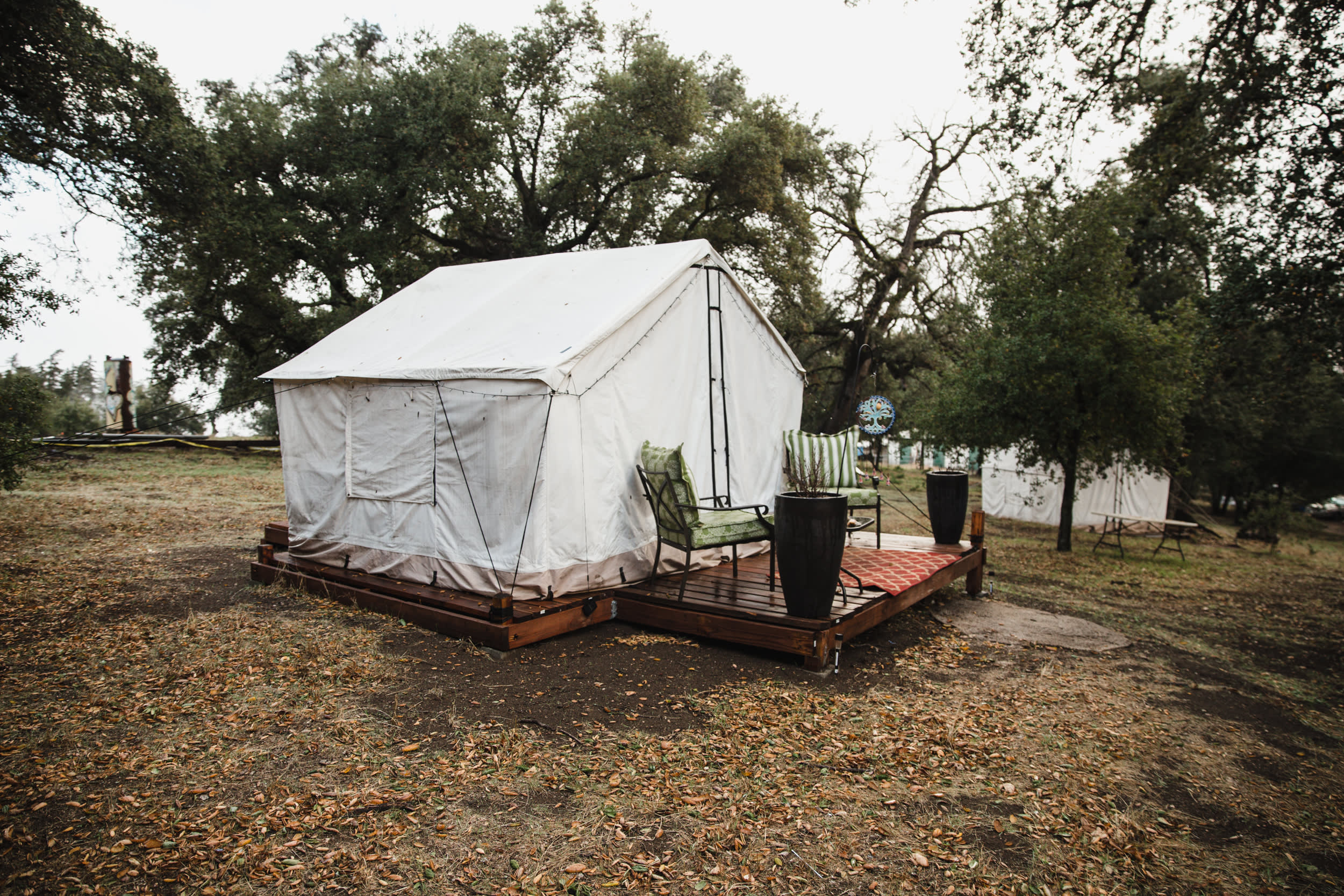 Magical Harrison Serenity Ranch