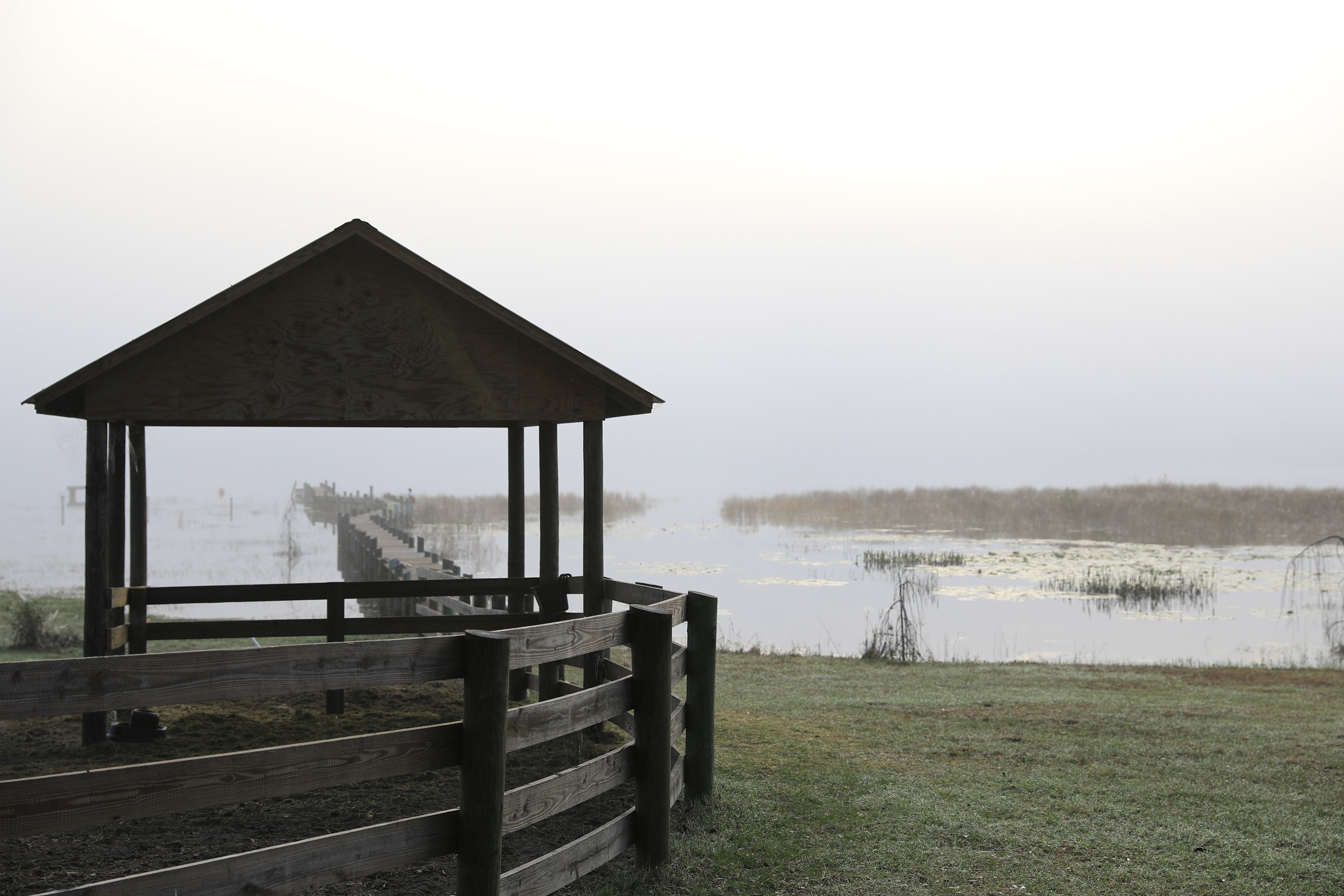 lake view
