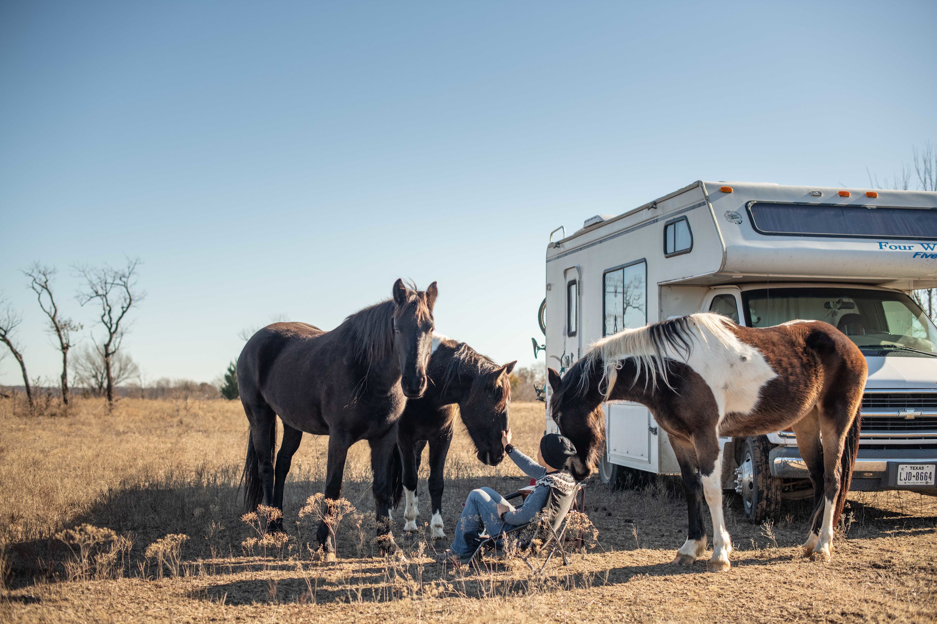 The horses were so gentle and friendly!