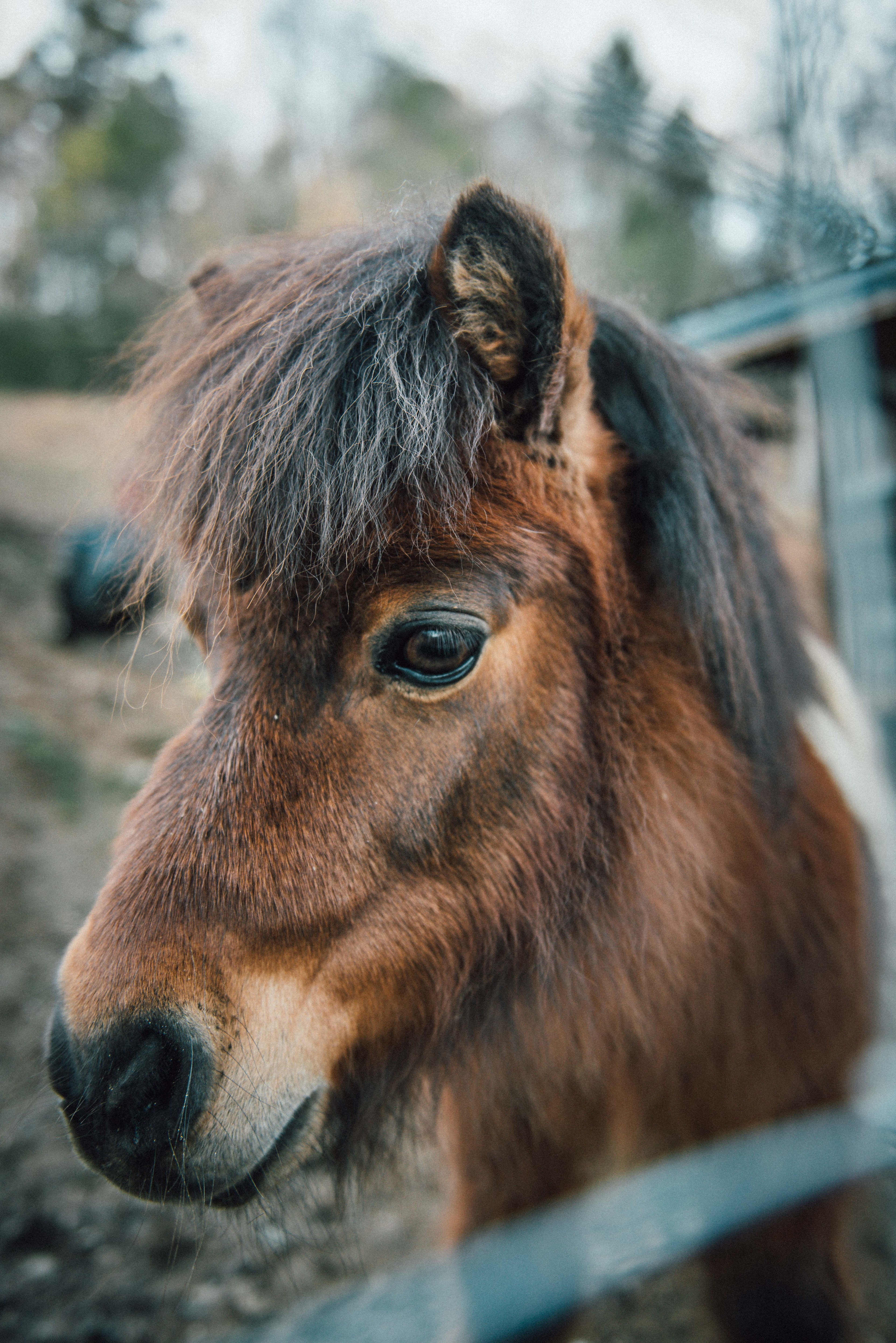 Buffalo Creek Vacations