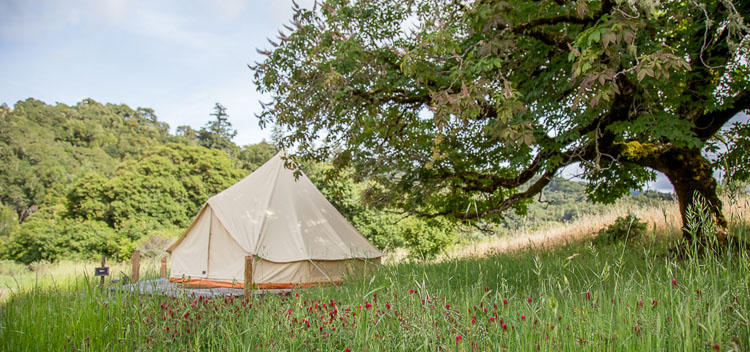 Whispertree Retreat