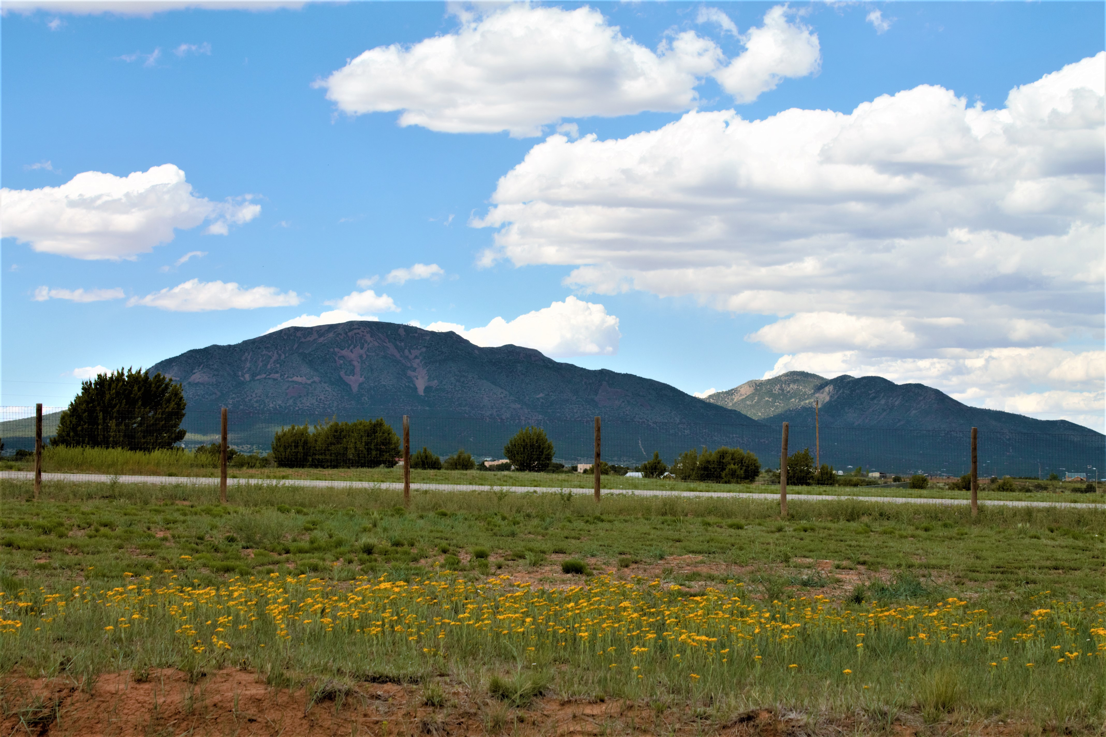 The view of South Mountain from Sweet Melody Farm!