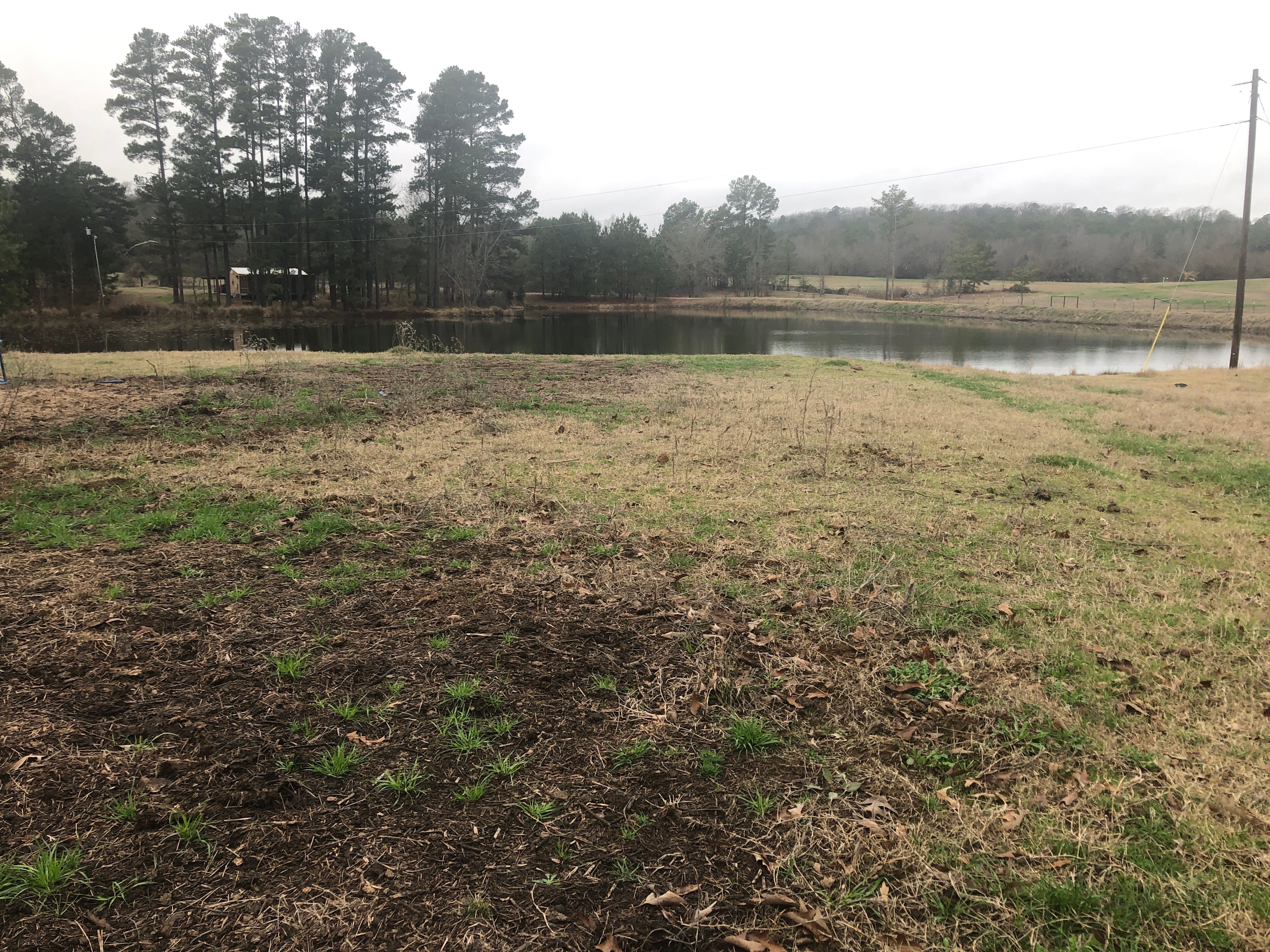 The camp site with view of the pond. The cabin in the background is not part of the package (it is occupied).