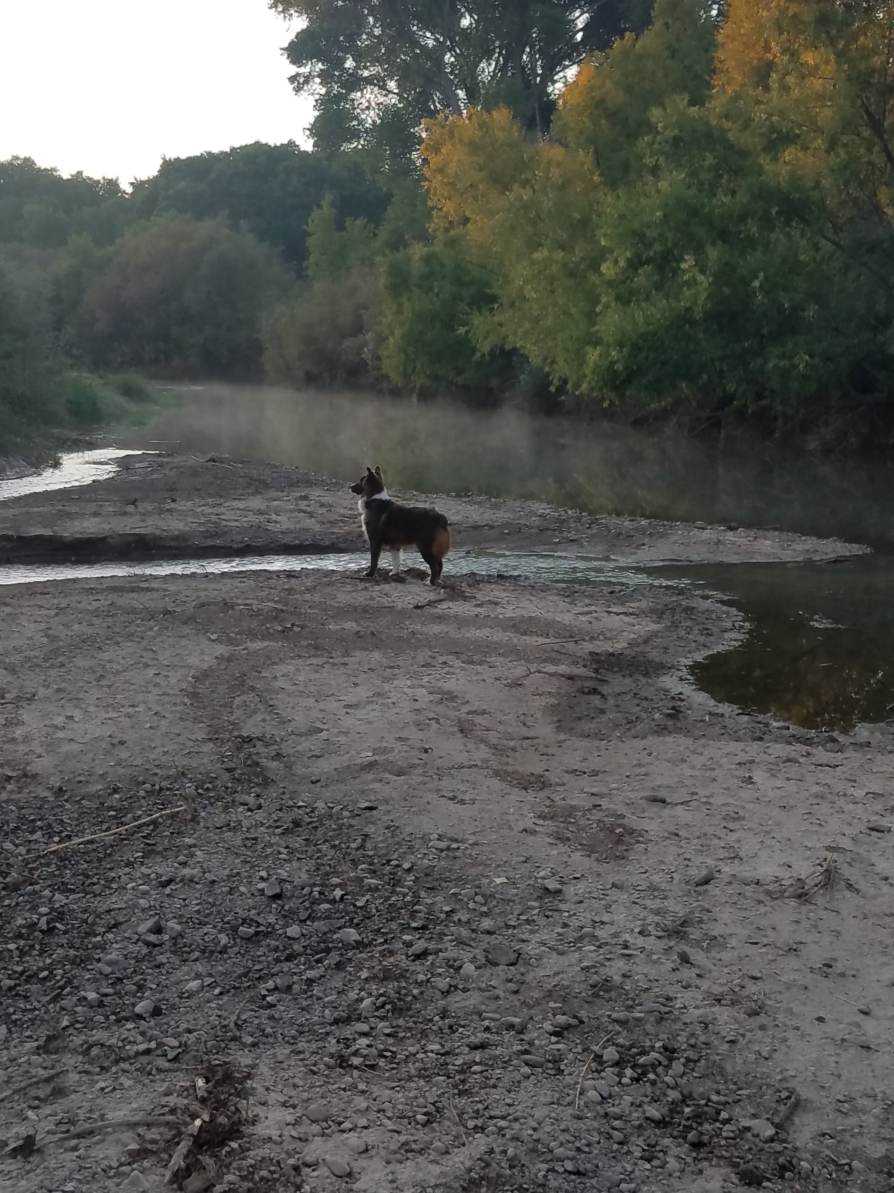 Eliana on the Gila river