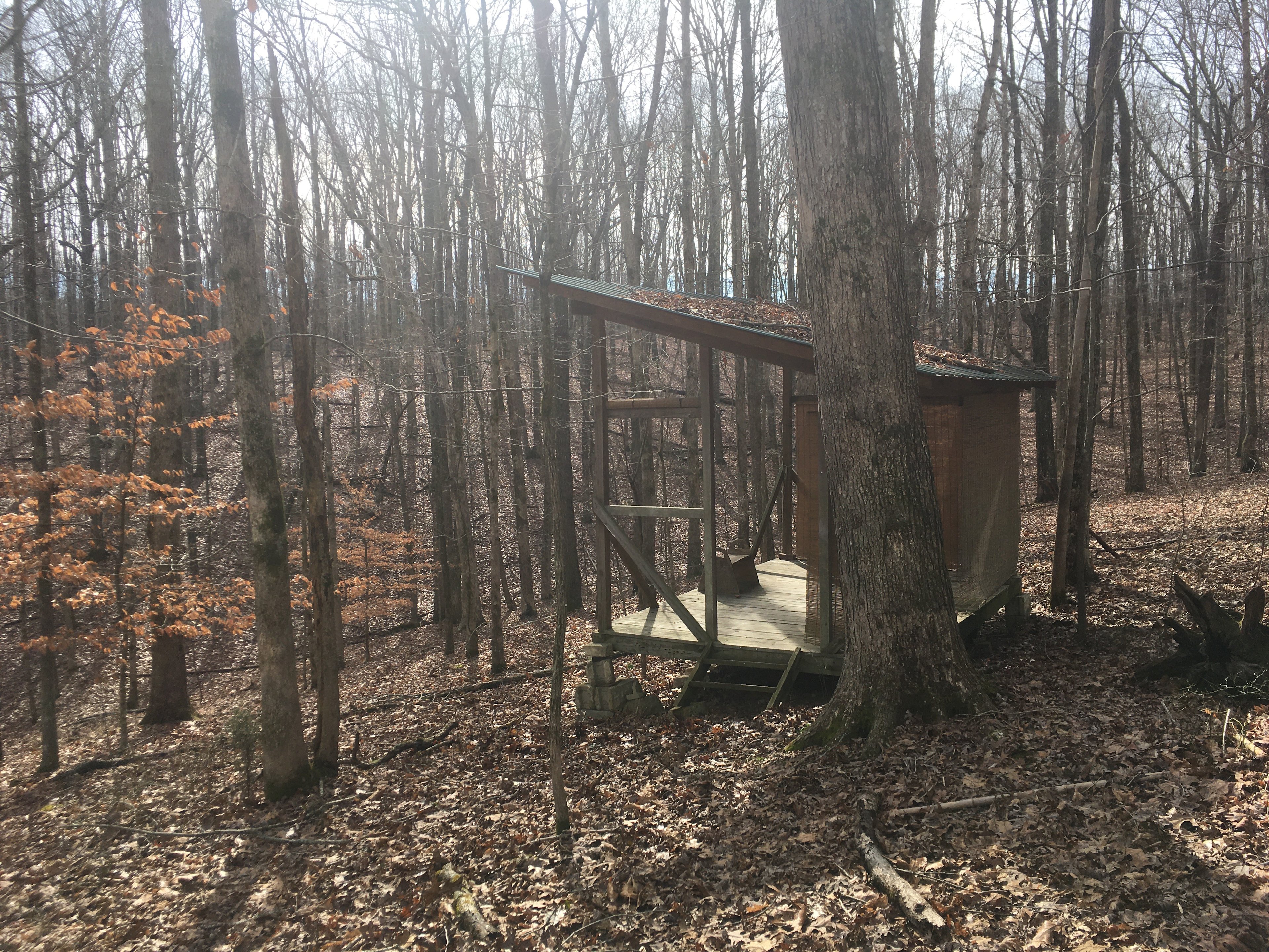 As you approach the campsite from the driveway, you find this secluded platform