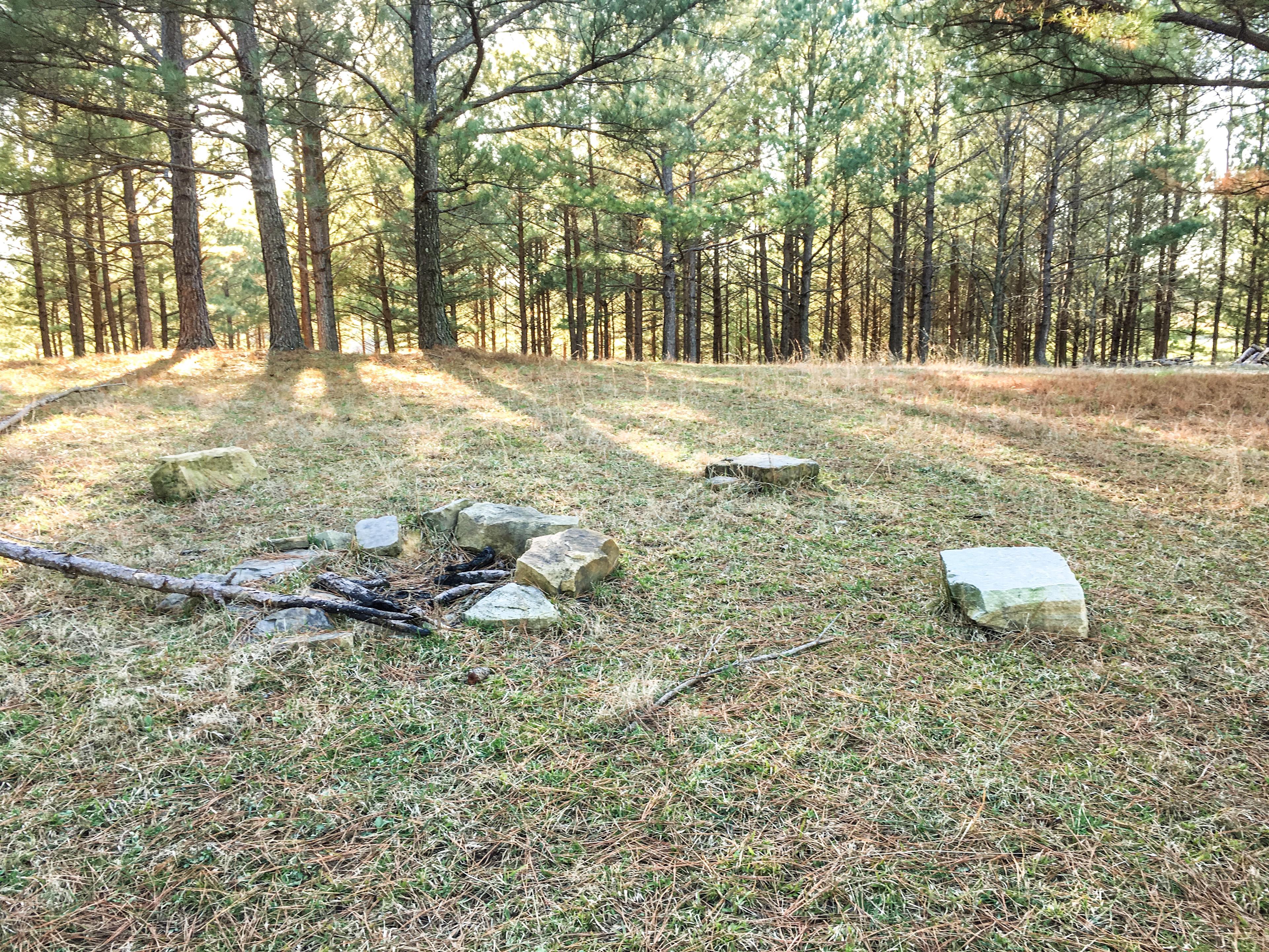 Solace Farm Homestead