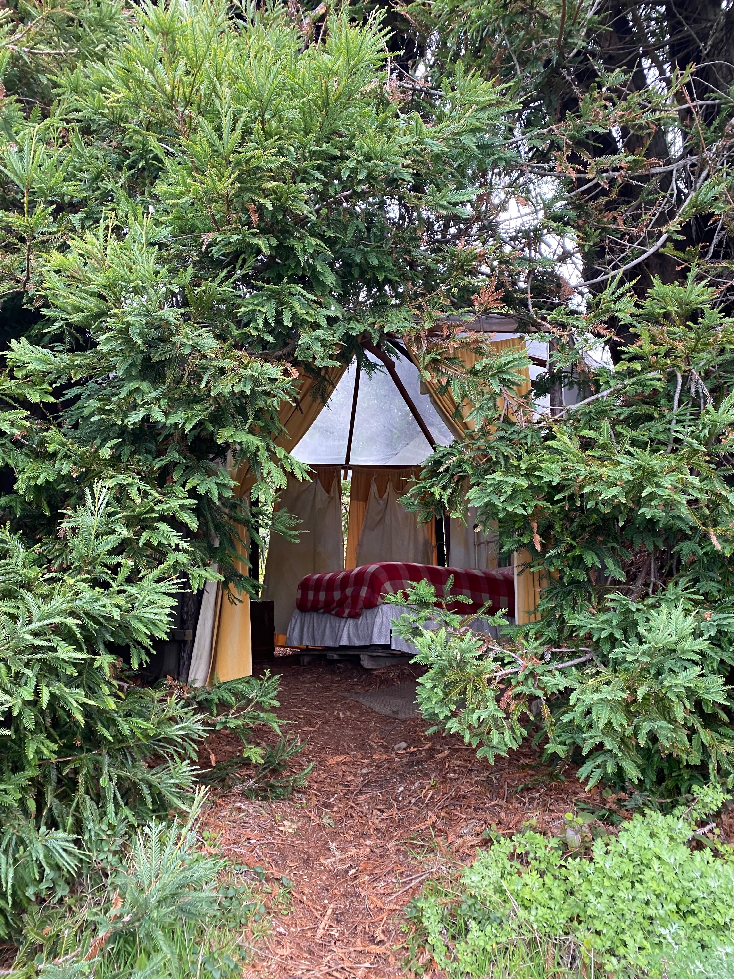 dabudage Big Sur