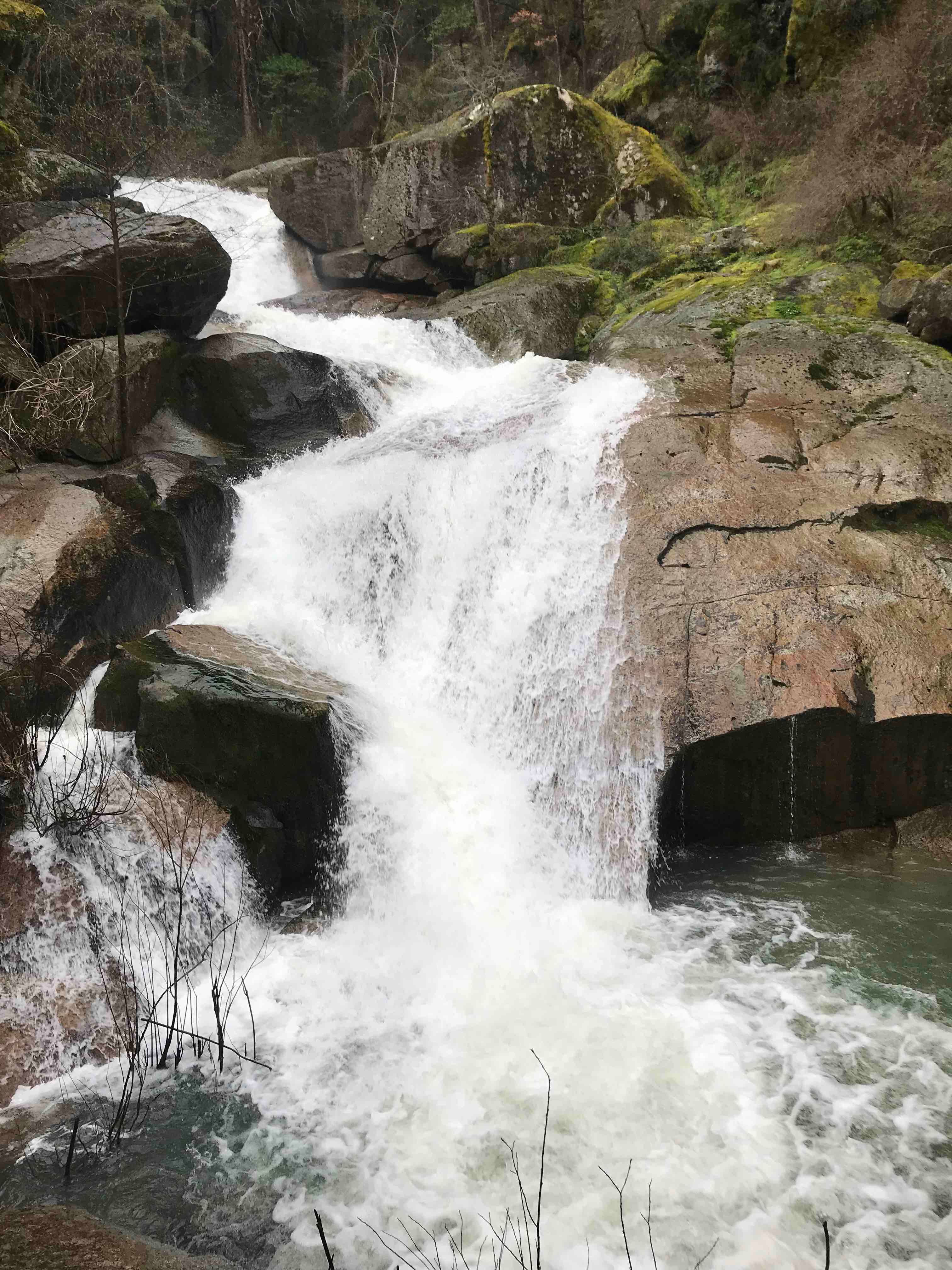 One of many waterfalls on the land - 15 minute hike from doorstep