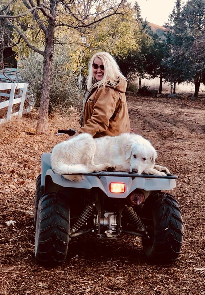 Freedog Farms @ Cactus Flower Ranch