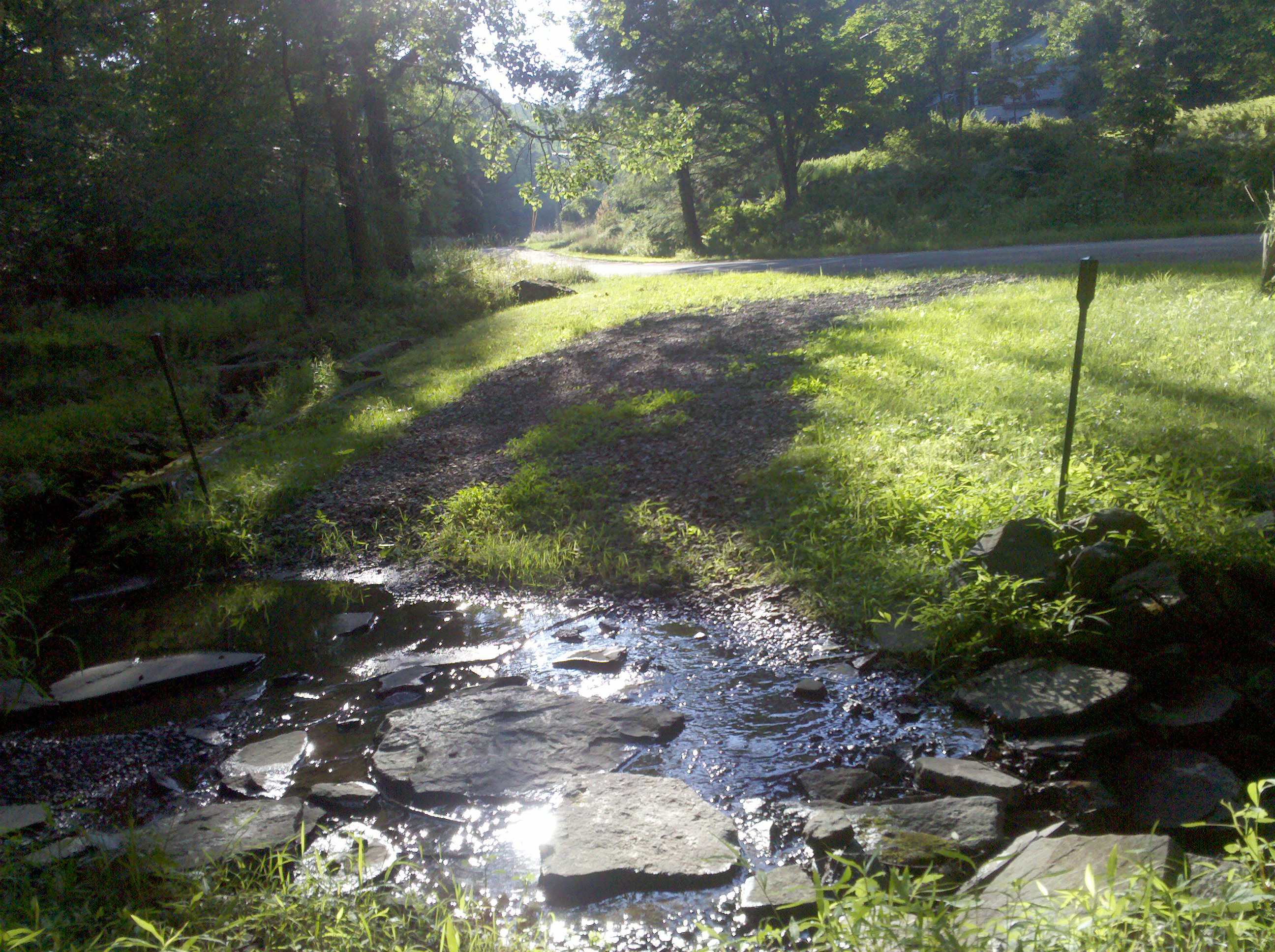 Stream Crossing Driveway....its ok to drive across and have the dogs drink from it ! My dogs love it!
