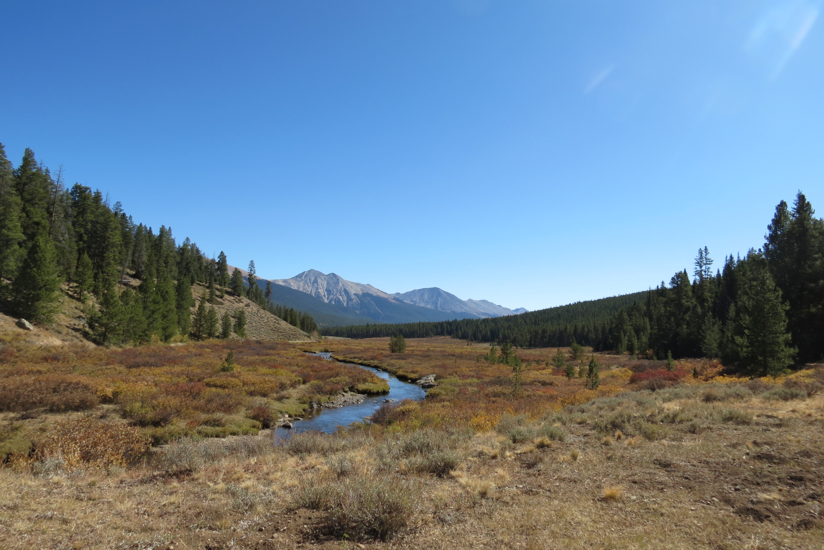 Gunnison National Forest