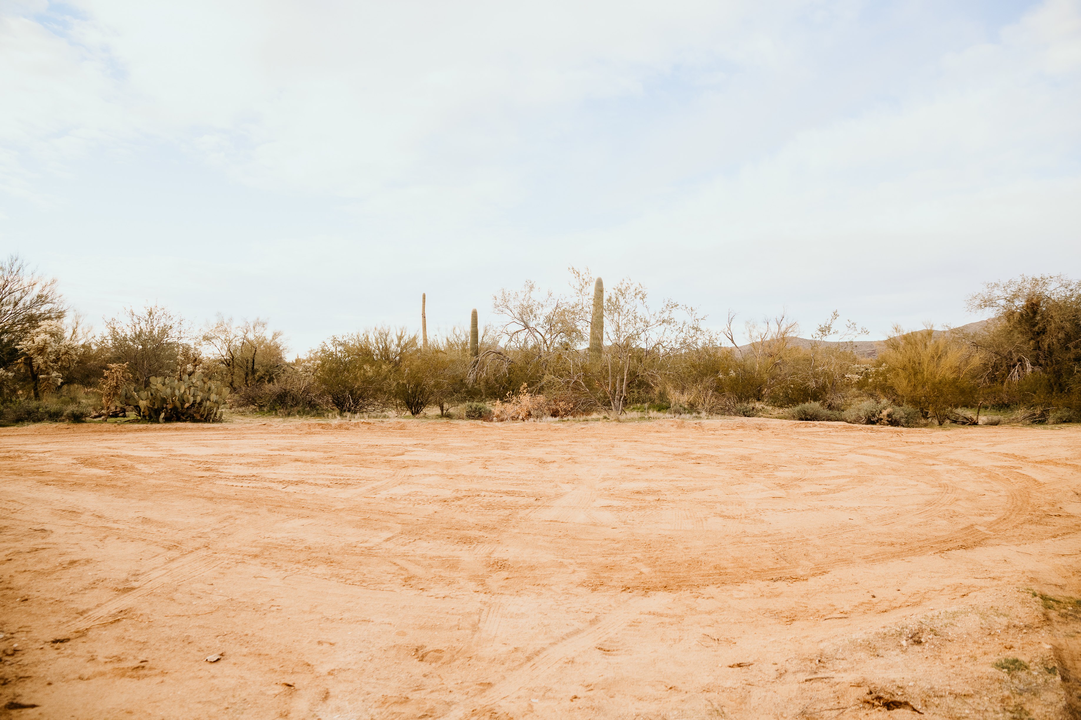 From edge of the site looking west.