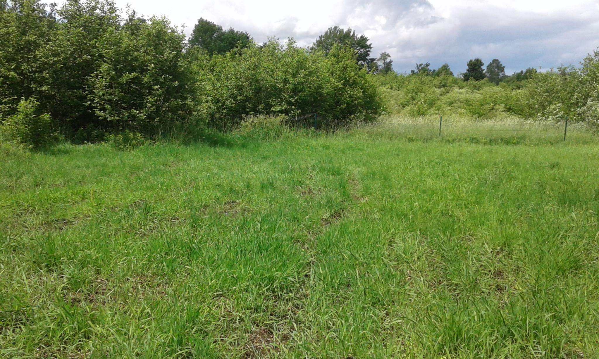 Other side of the front field