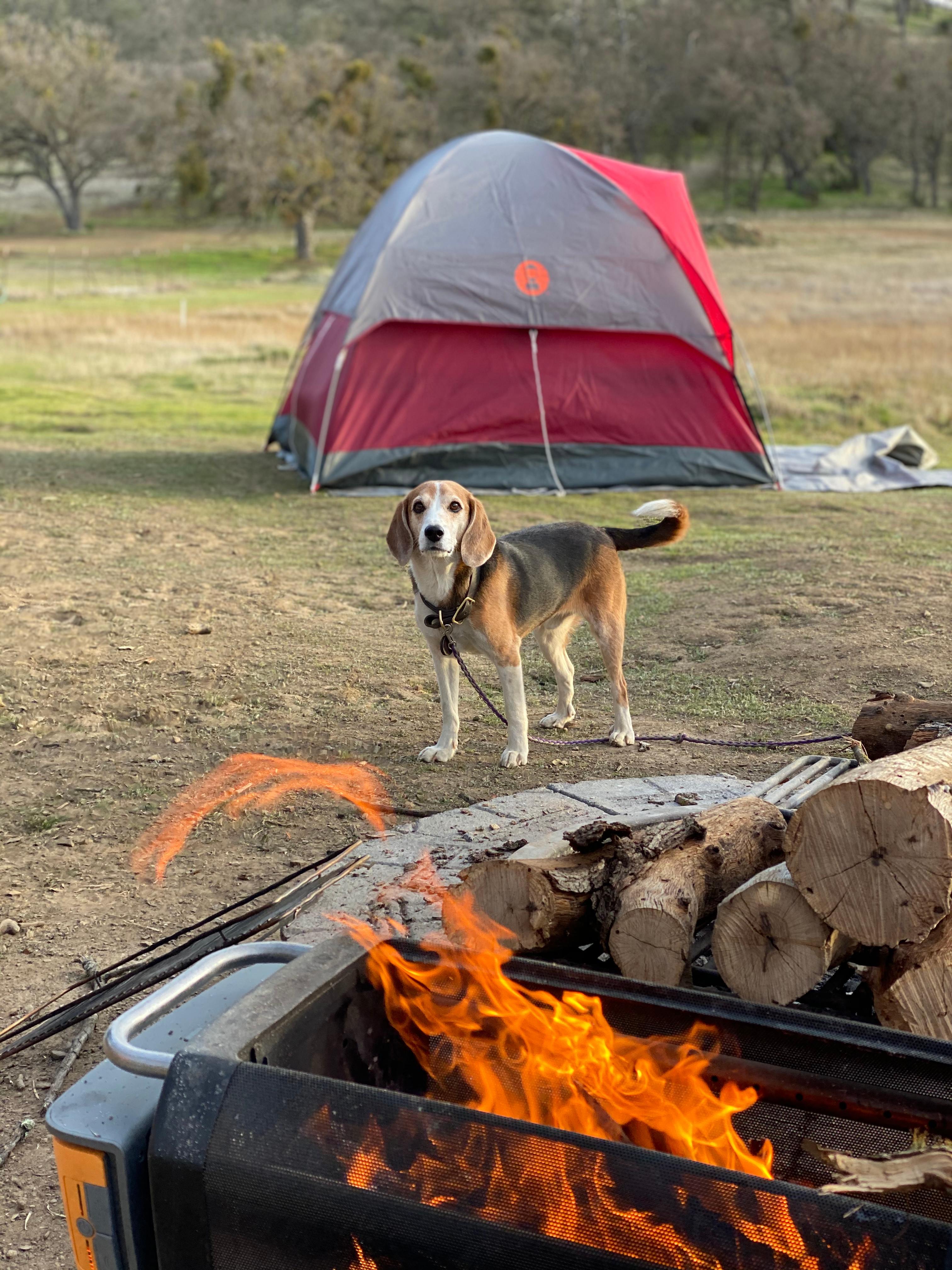 40min to Pinn/Song of the Ancients