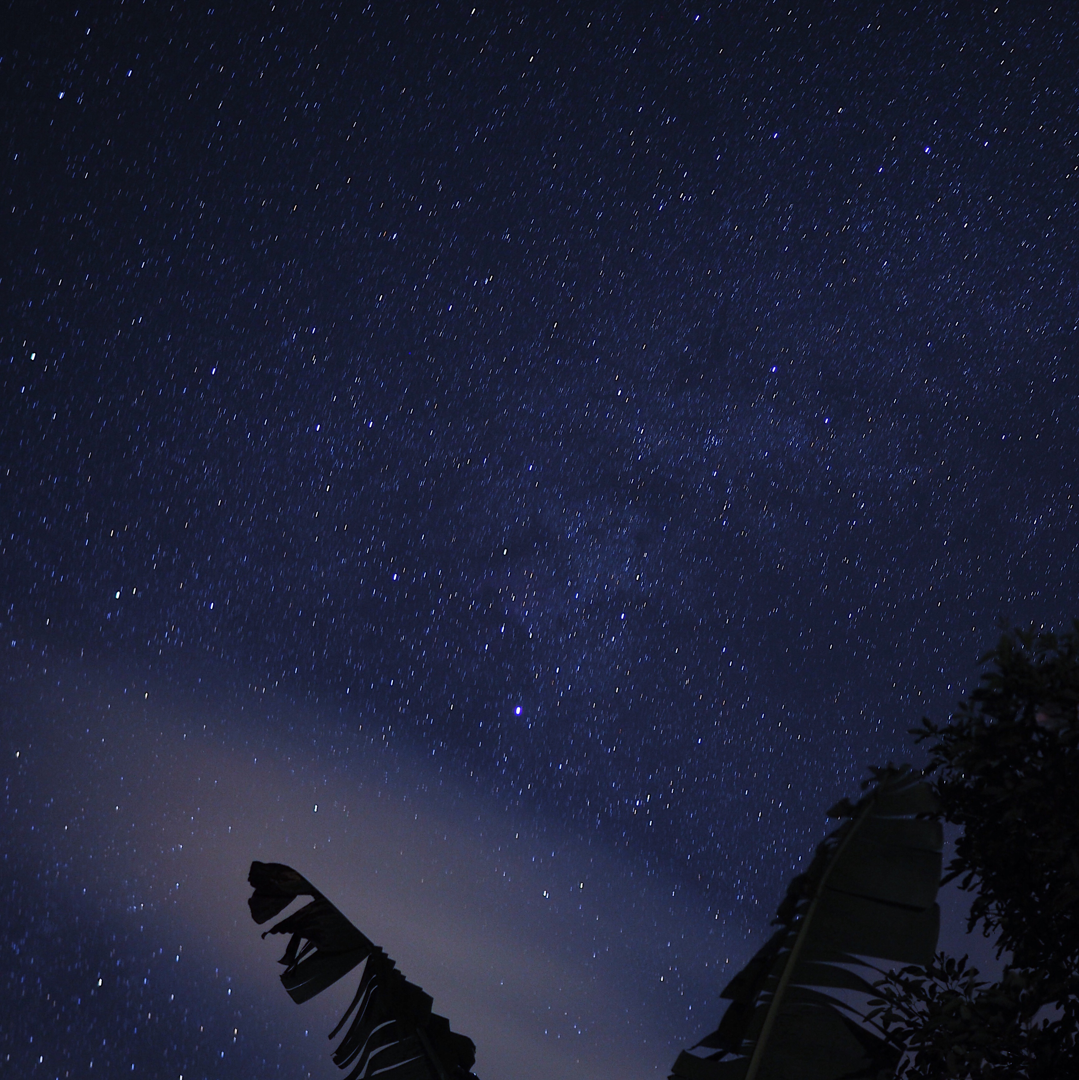 The night sky with very little light pollution.
