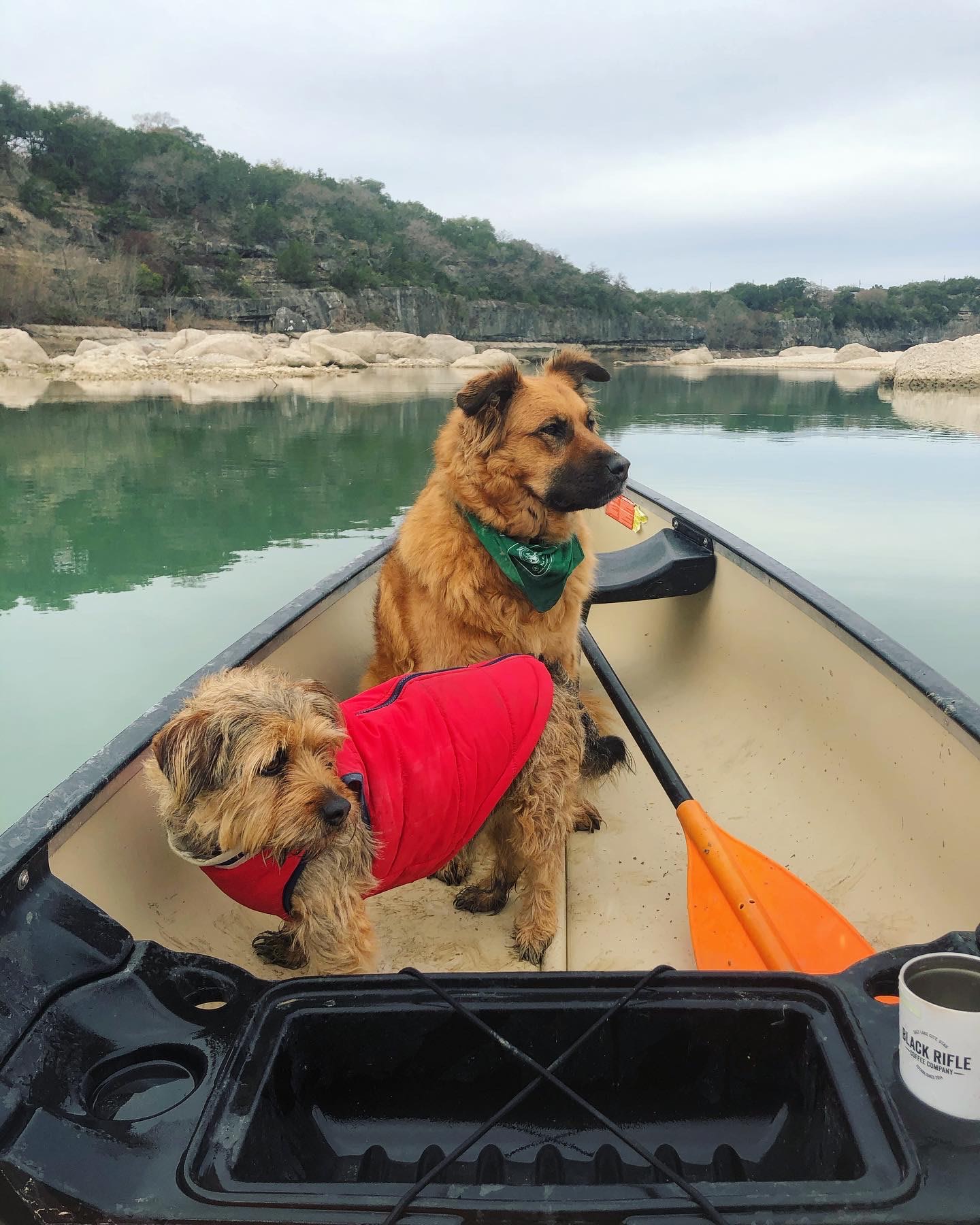 This stretch of the Medina was calm and paddling West/Northwest yields cliffside views and a fun creek. 