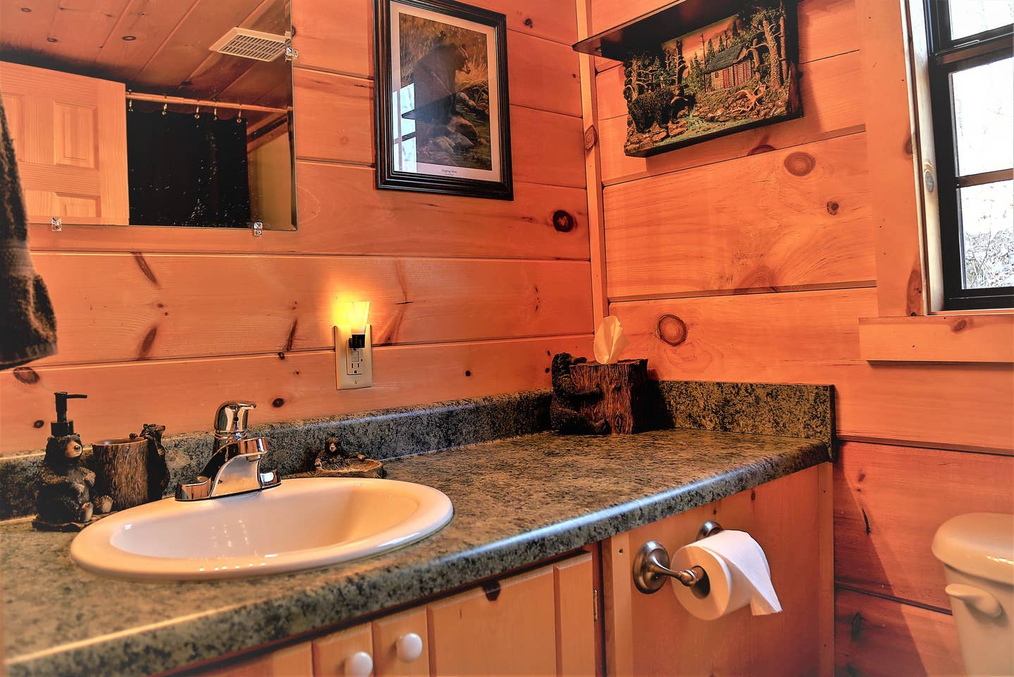 Nantahala: Cabins & Campsites