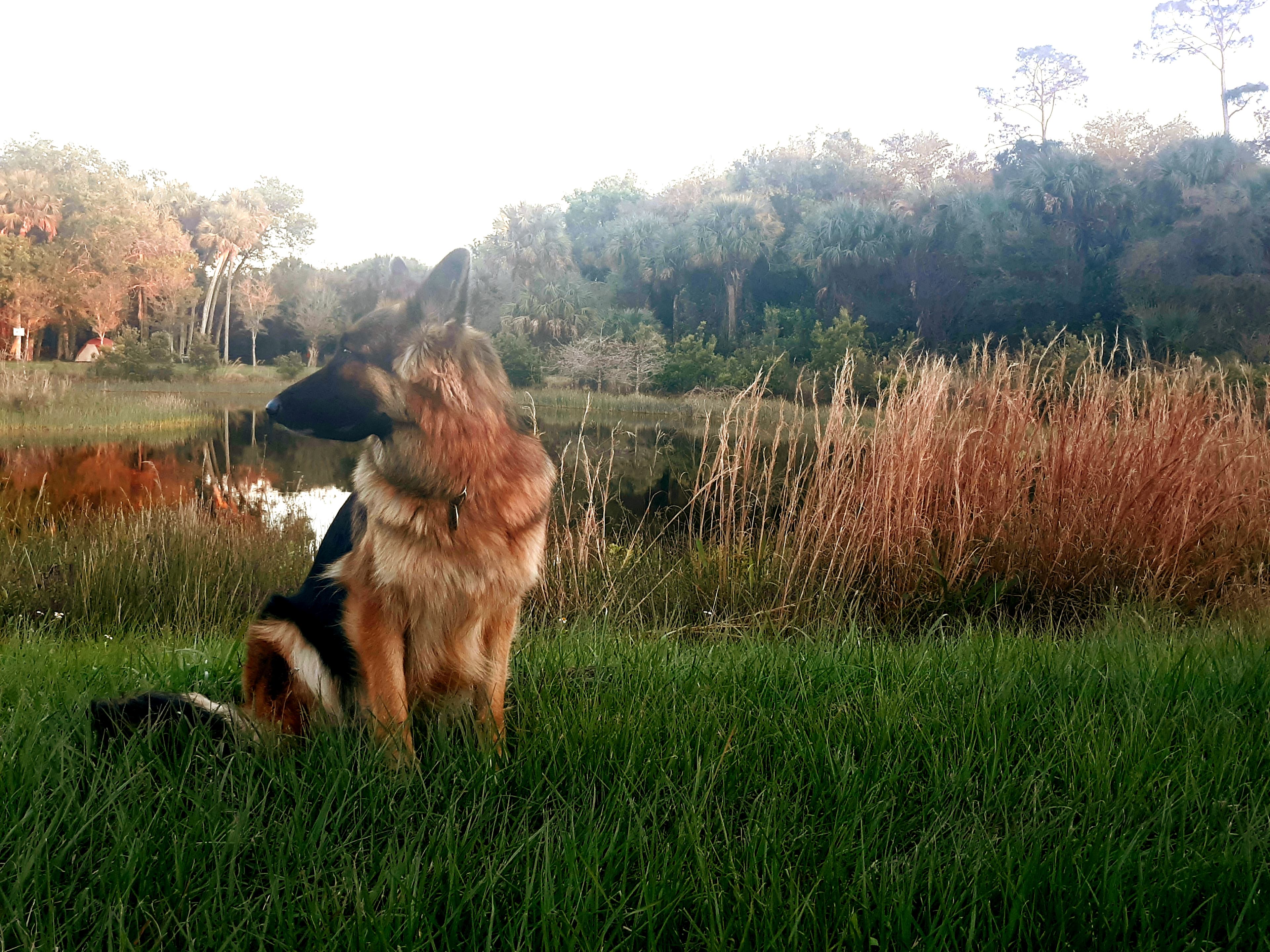 Taste of Old Florida