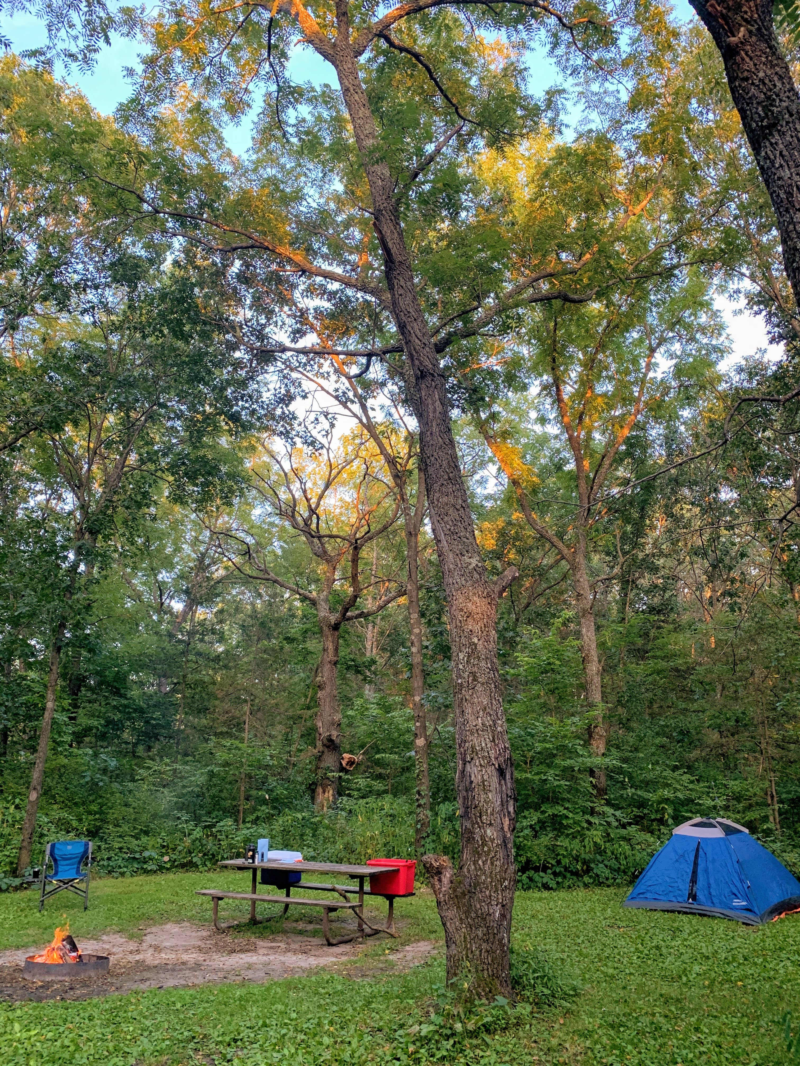 Richard J. Dorer Memorial Hardwood State Forest