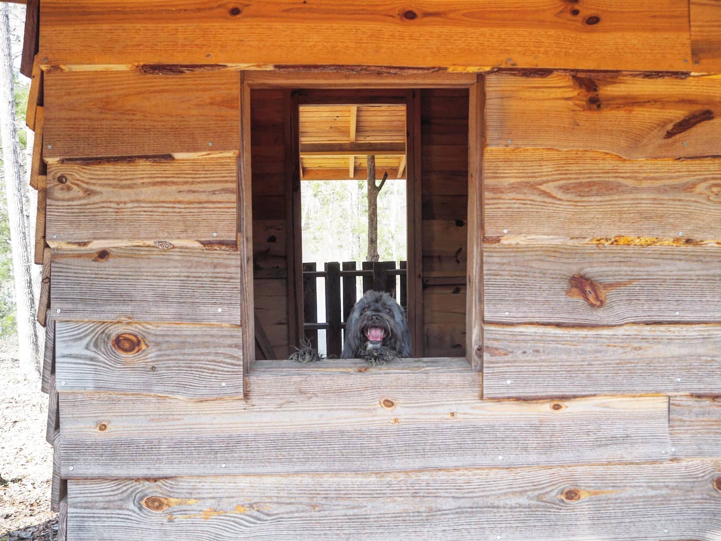 Visited the cabin next to our site