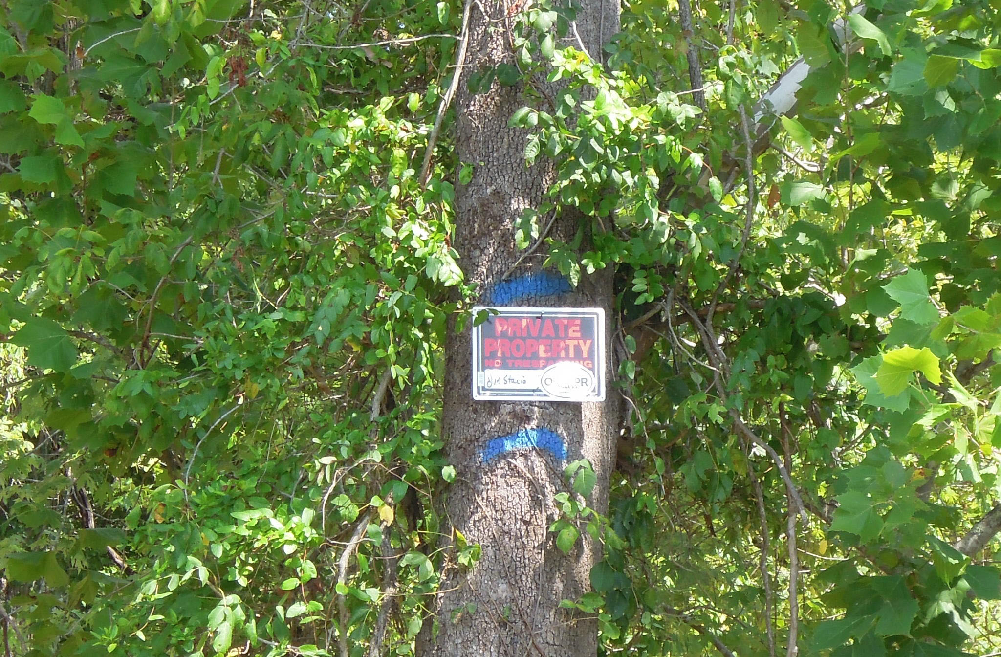 Big Island South