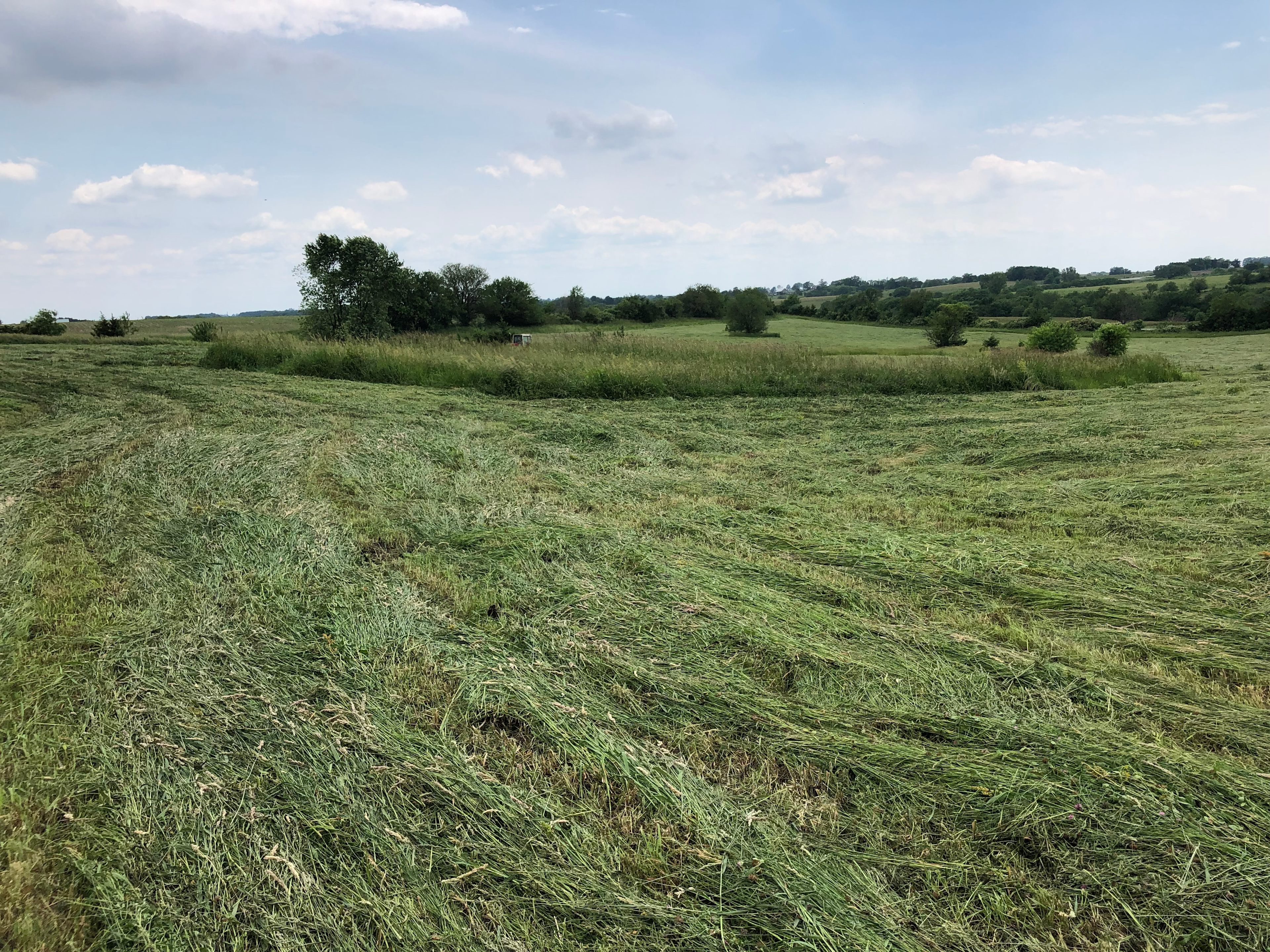 Green Grass Farms Camping