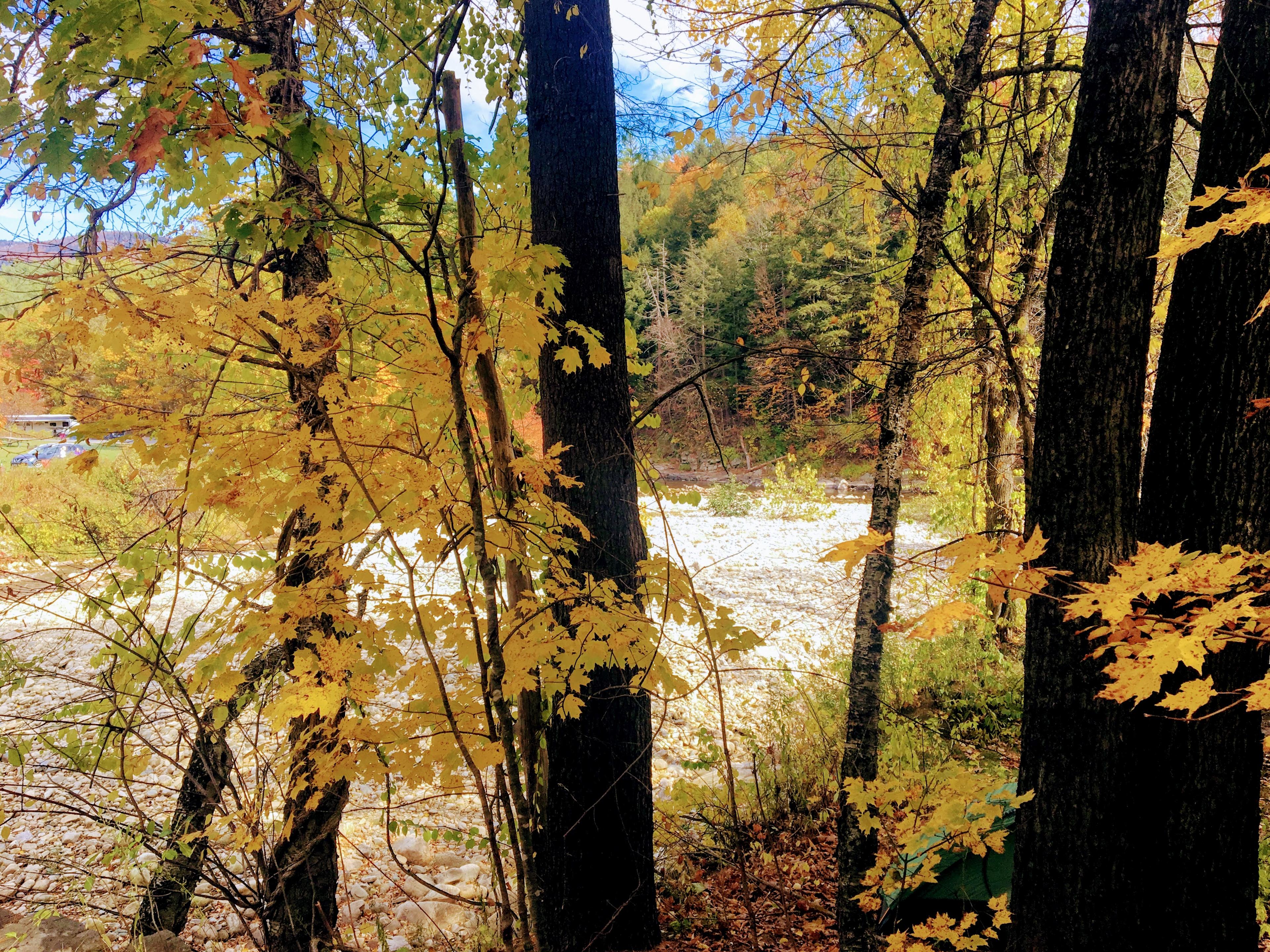 Winhall Brook Campground Vermont autumn