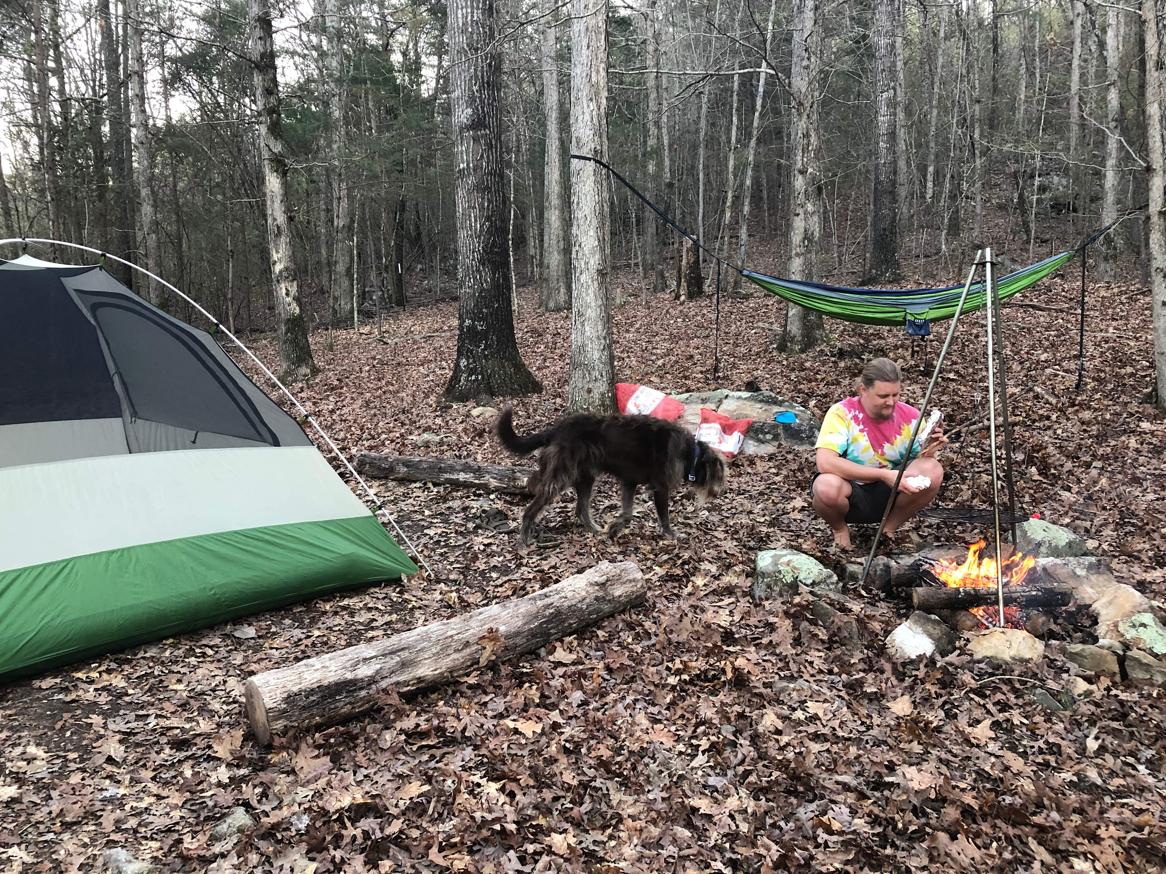 Forest at Sand Mountain