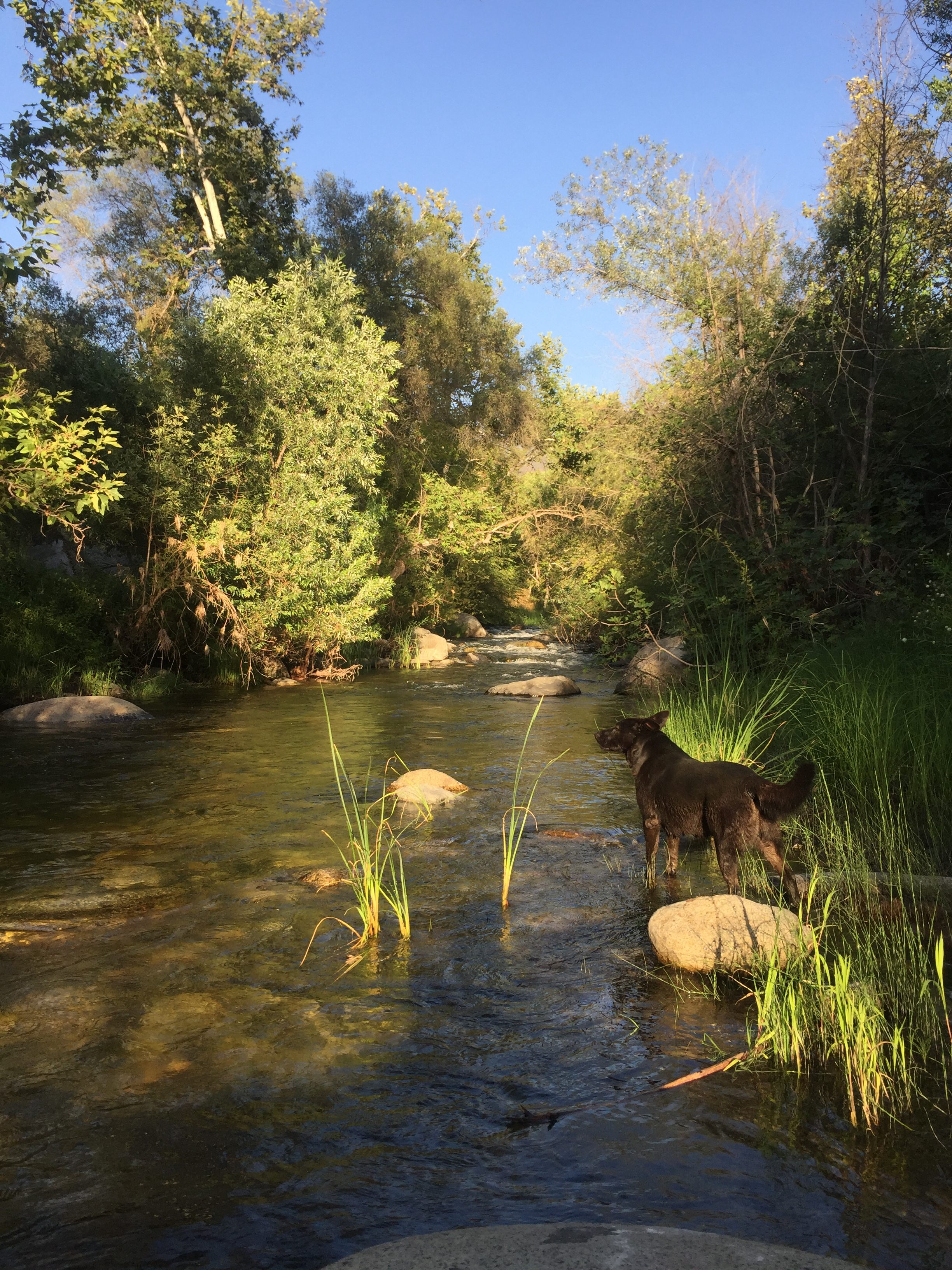 This is Outdoor Living