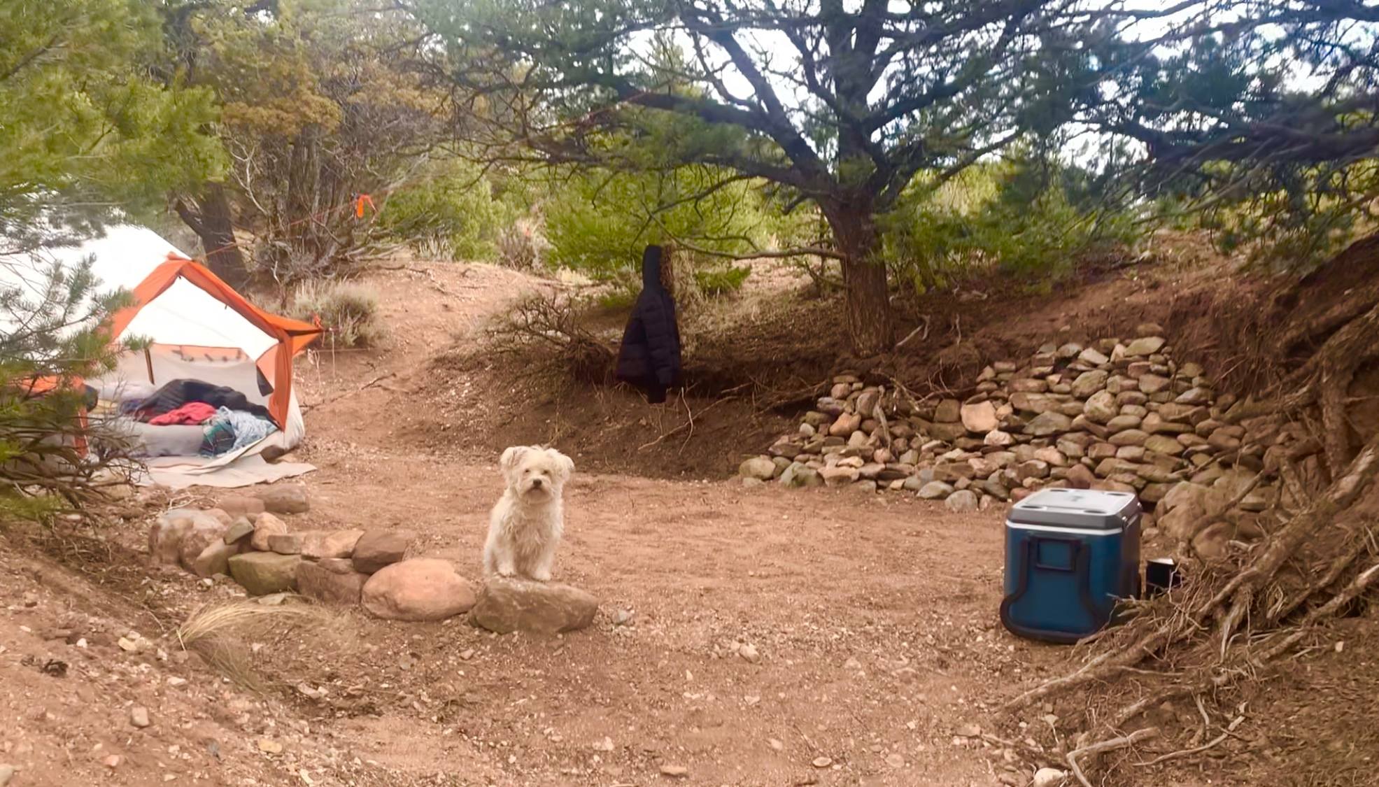 Campsite option #3 (in gulch - please stay off stone support structure)