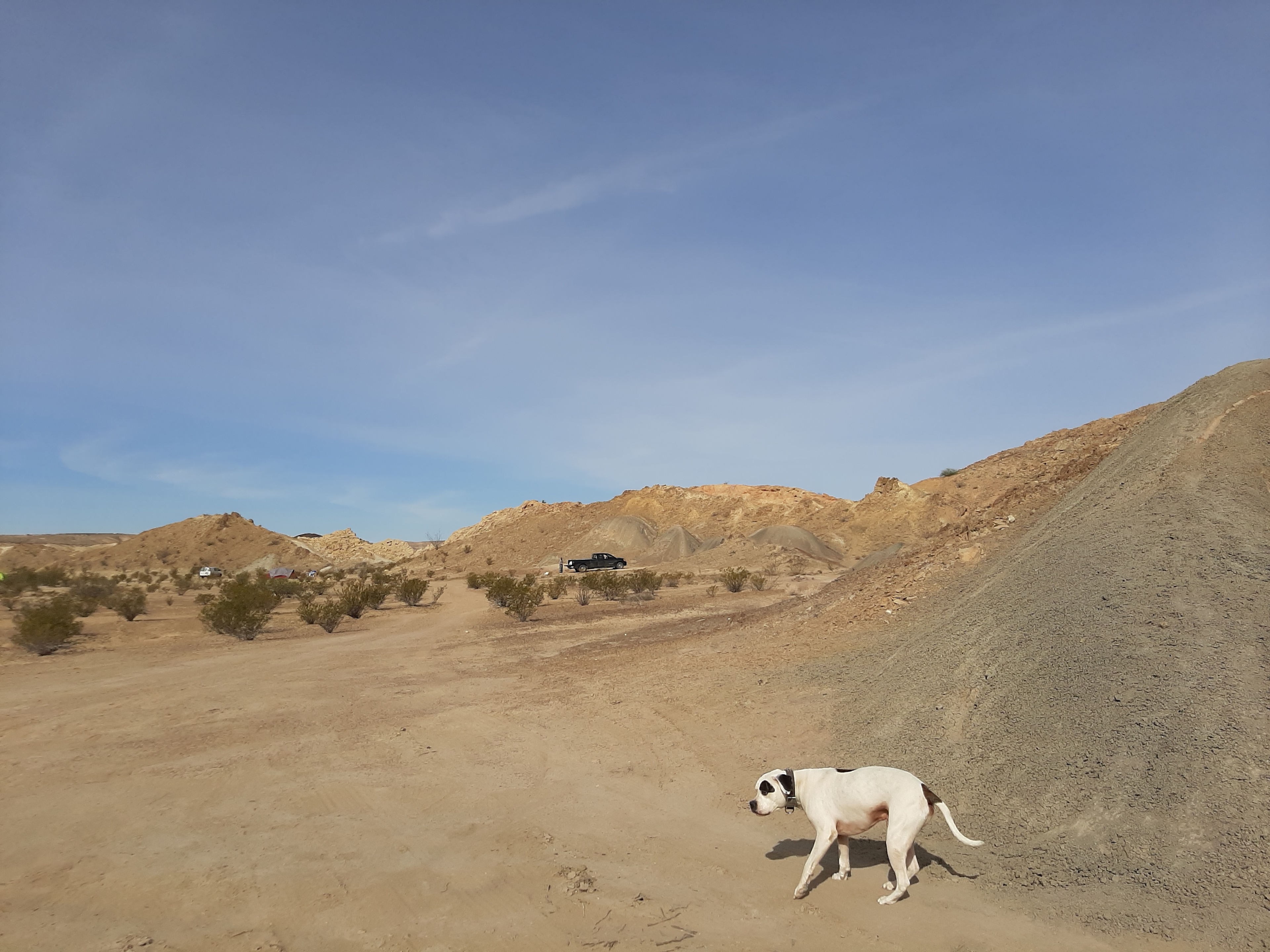 Goat Pens, Cigar Springs Ranch