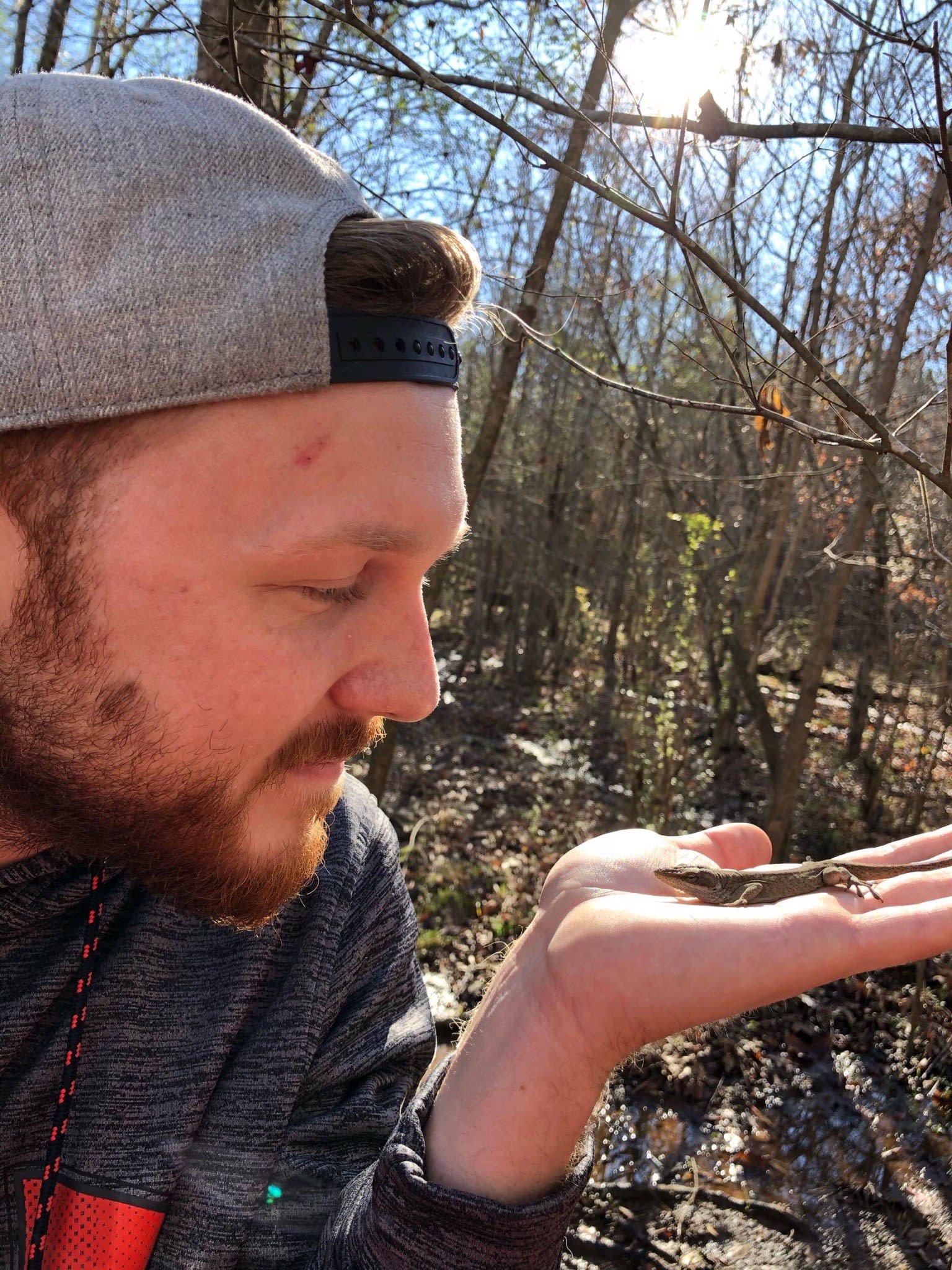 Woodland Wonderland.