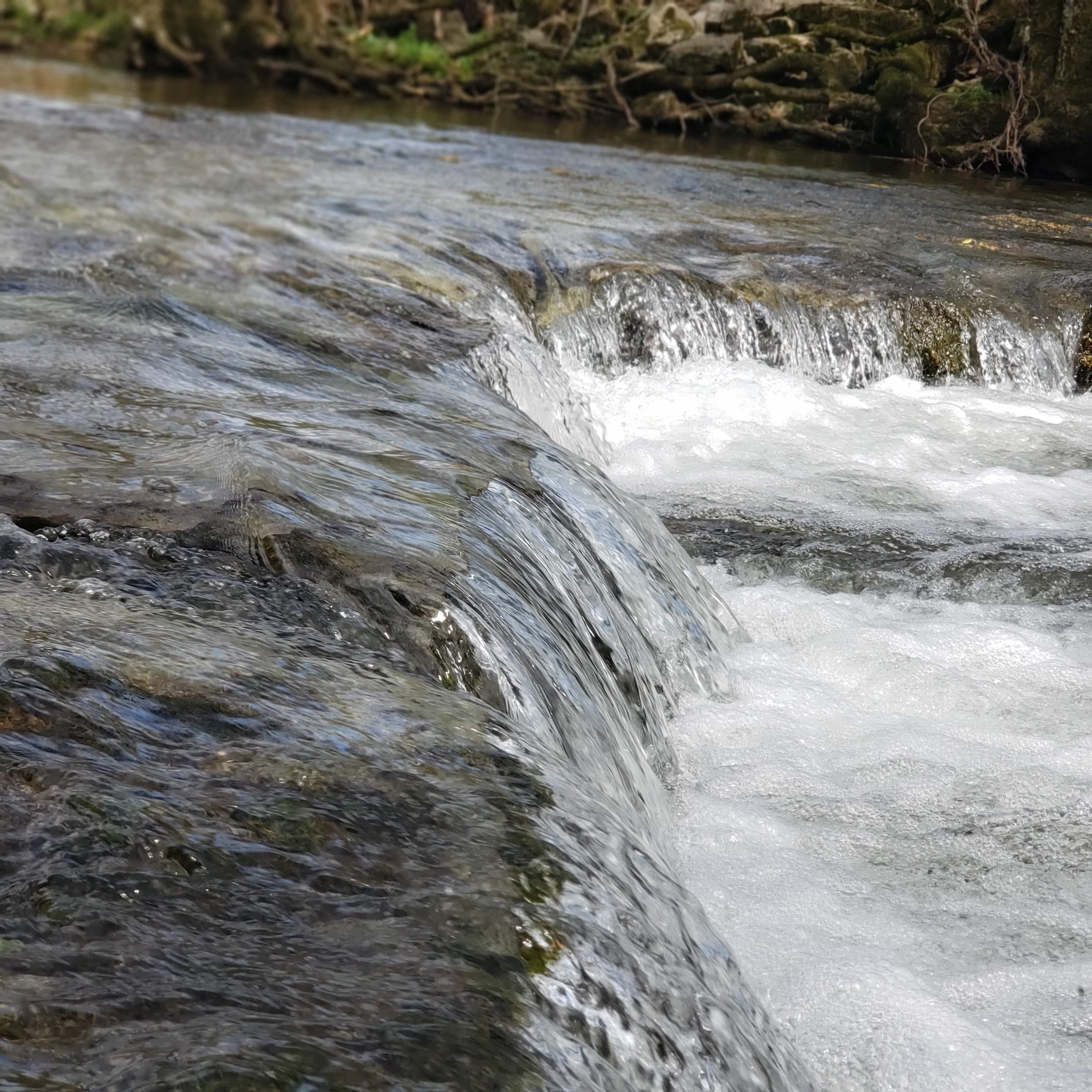 Our creek has a mini waterfall