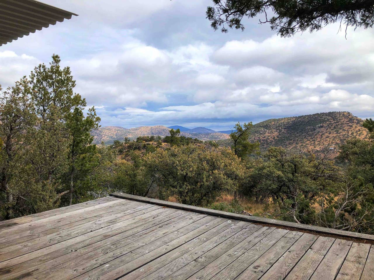 Deck Views
