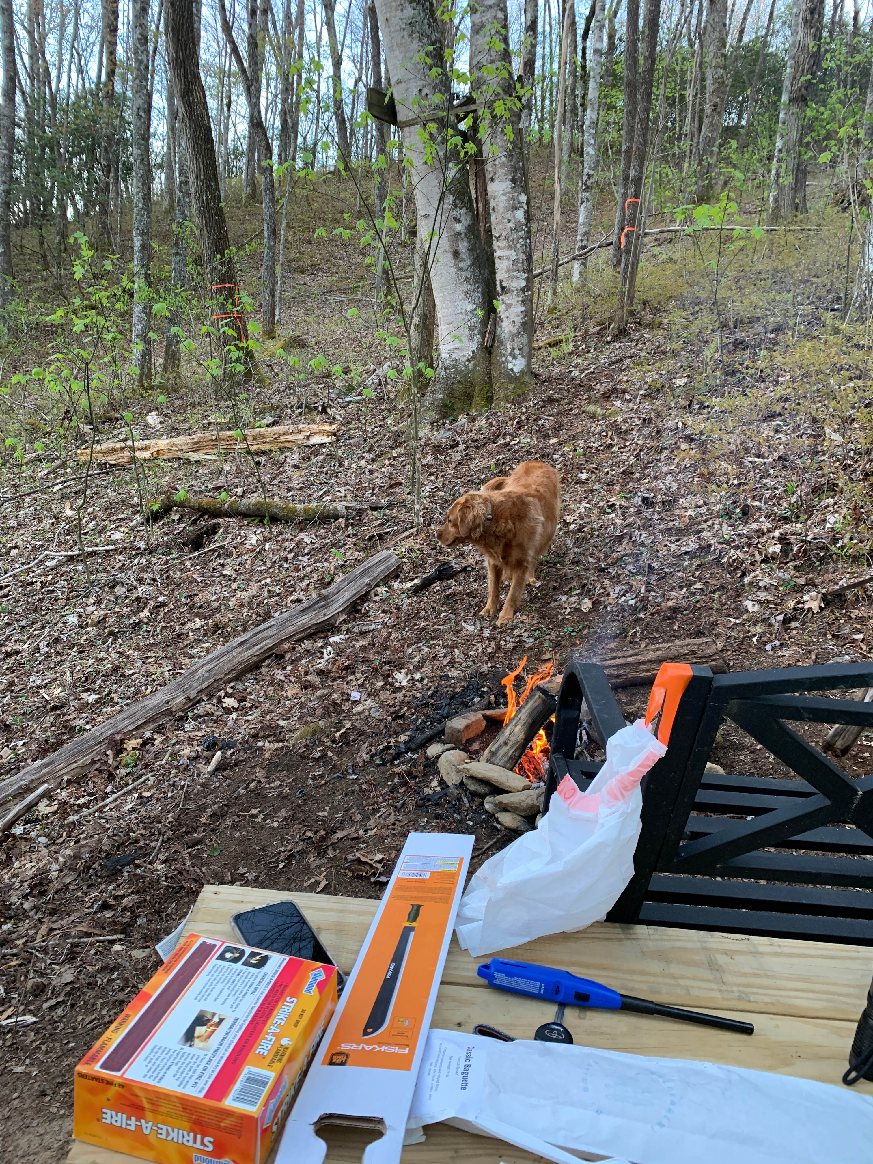 Nantahala: Cabins & Campsites