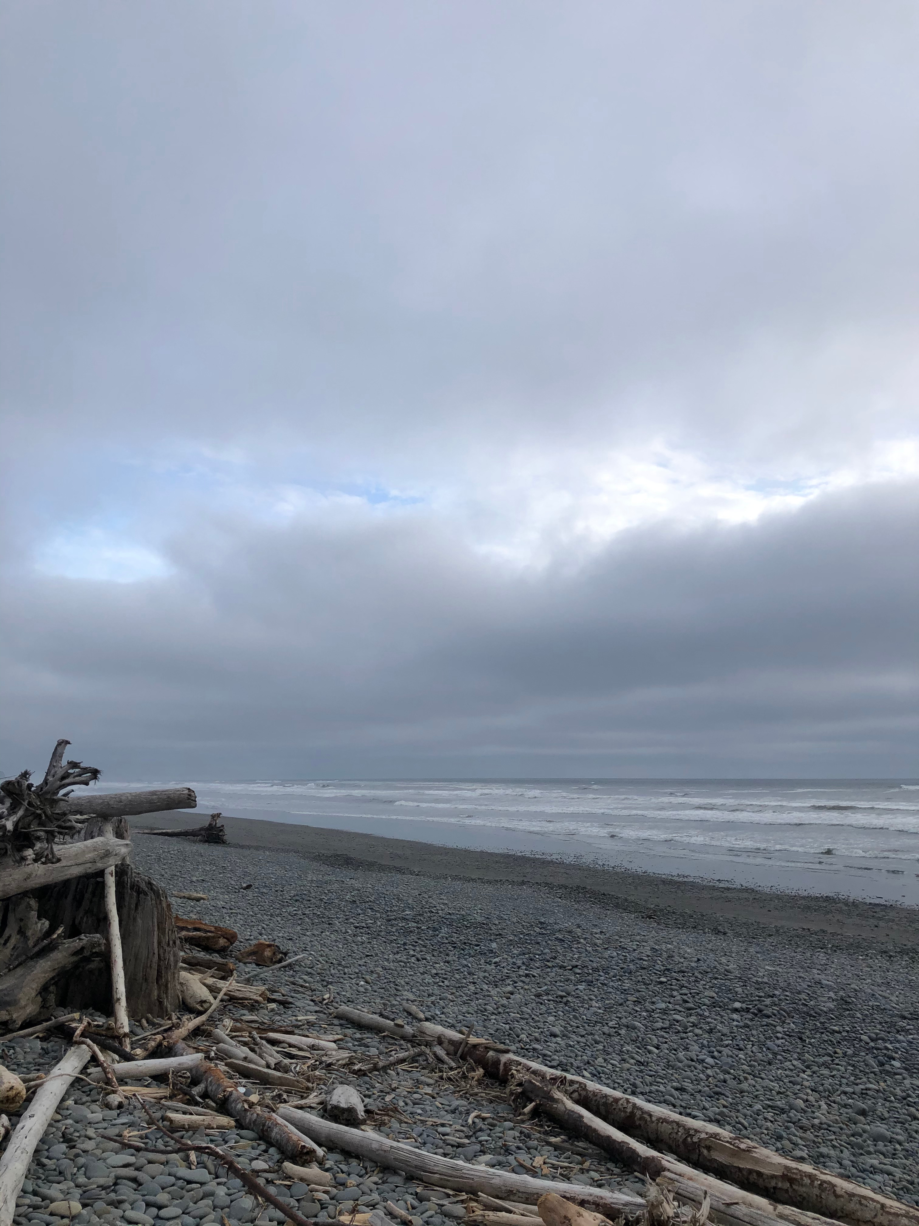 Aliya Preserve—WA Coast Eco-Retreat