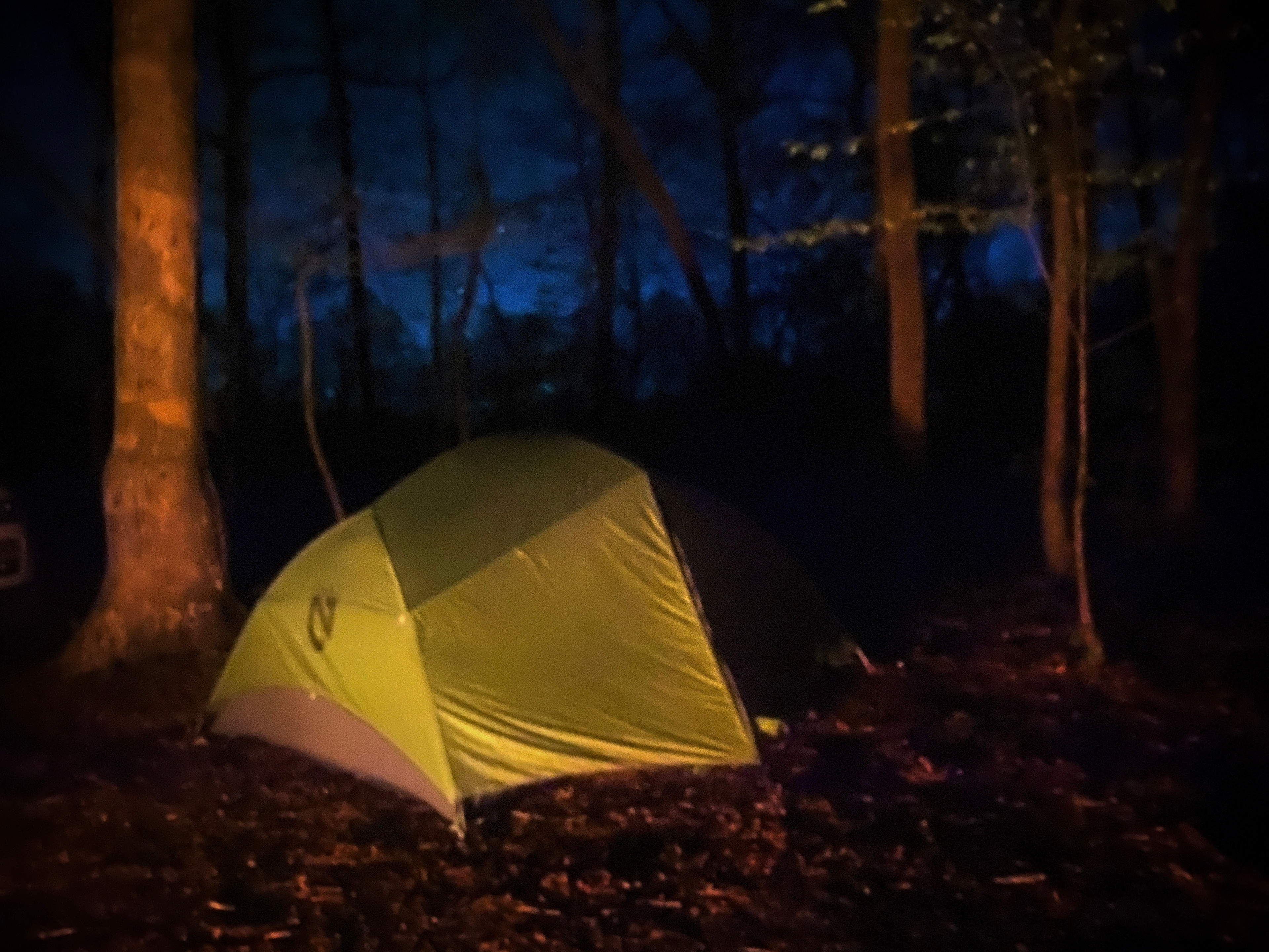 Belle and Beau Acres