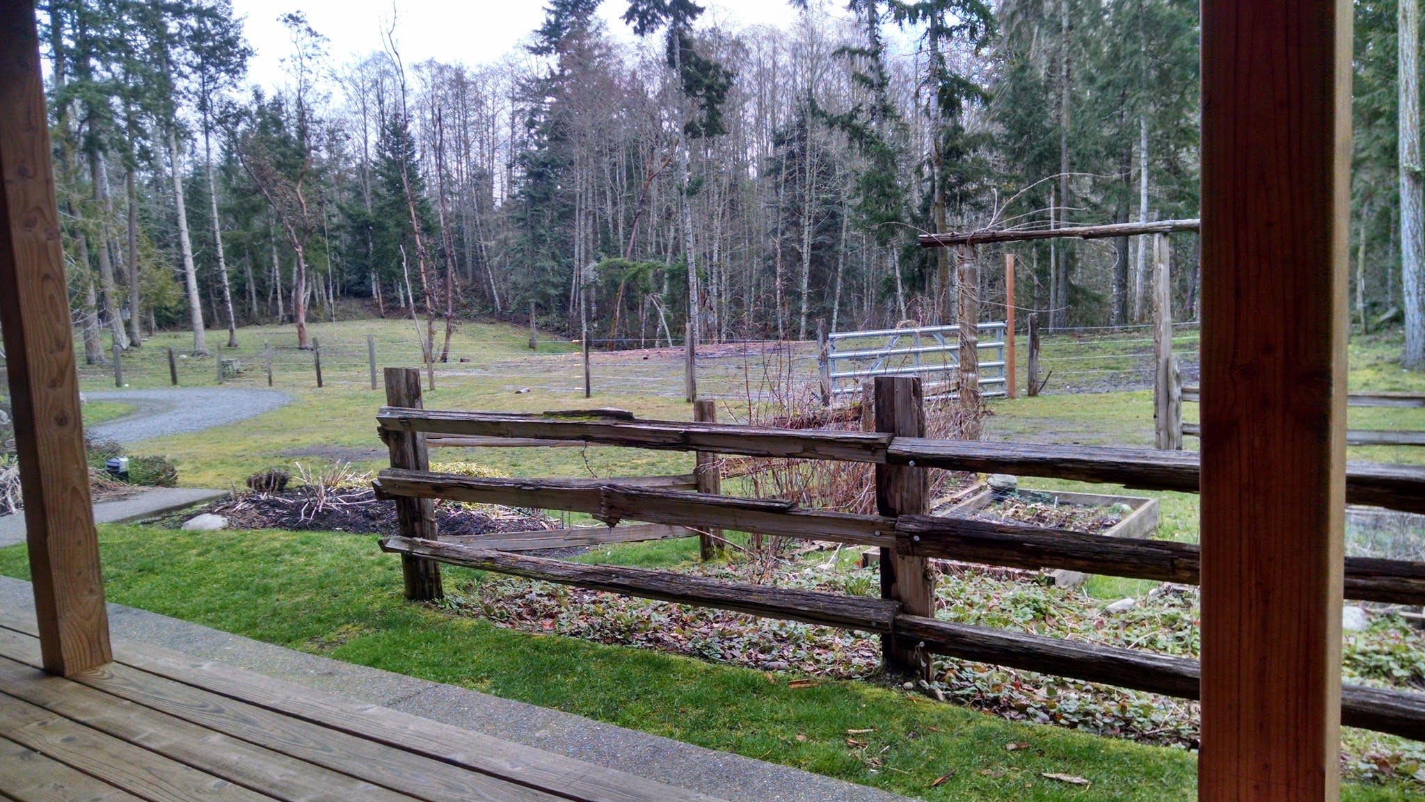 view from the farm house looking back toward the woofer camp and woods camp