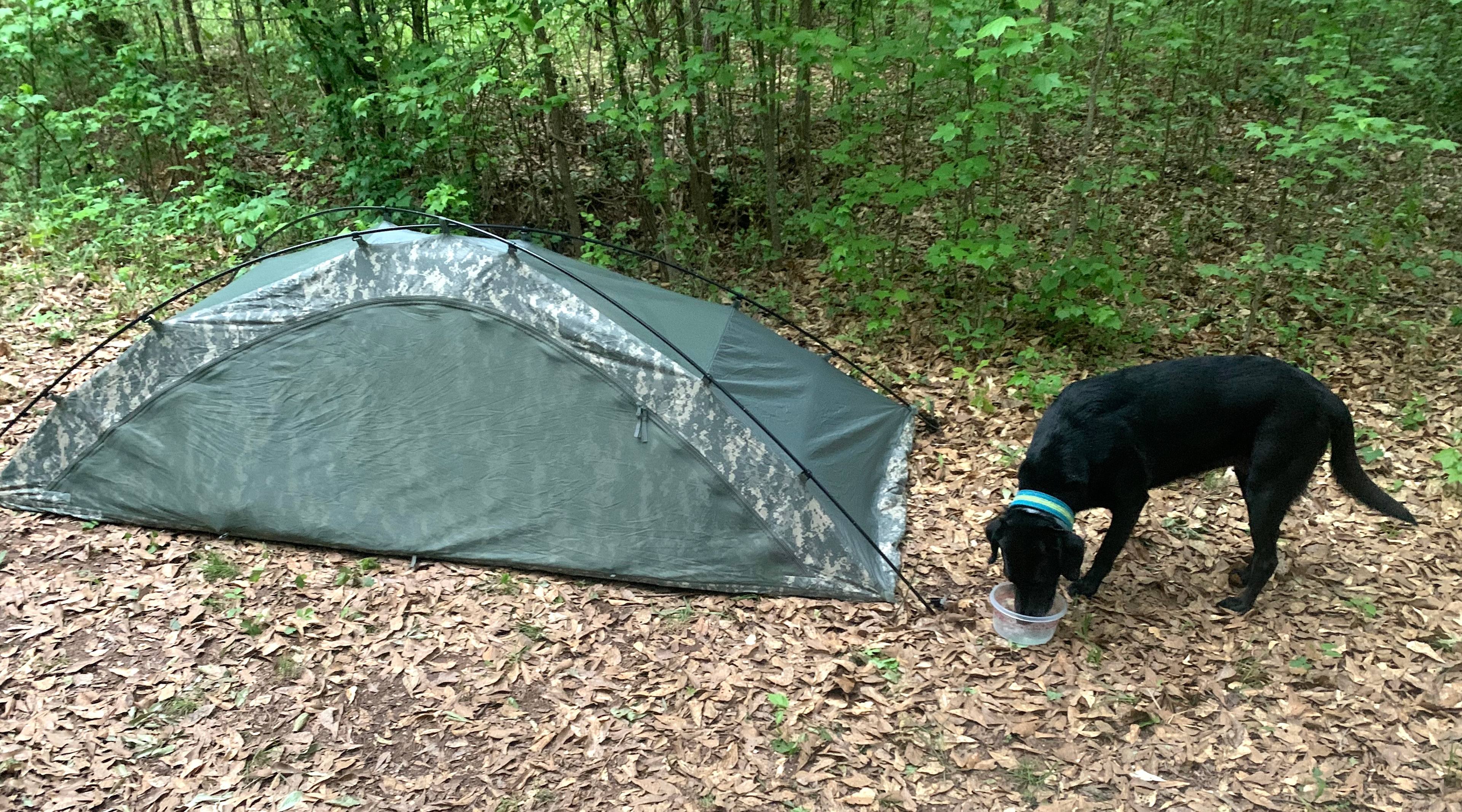 New take on a pup tent. LOL