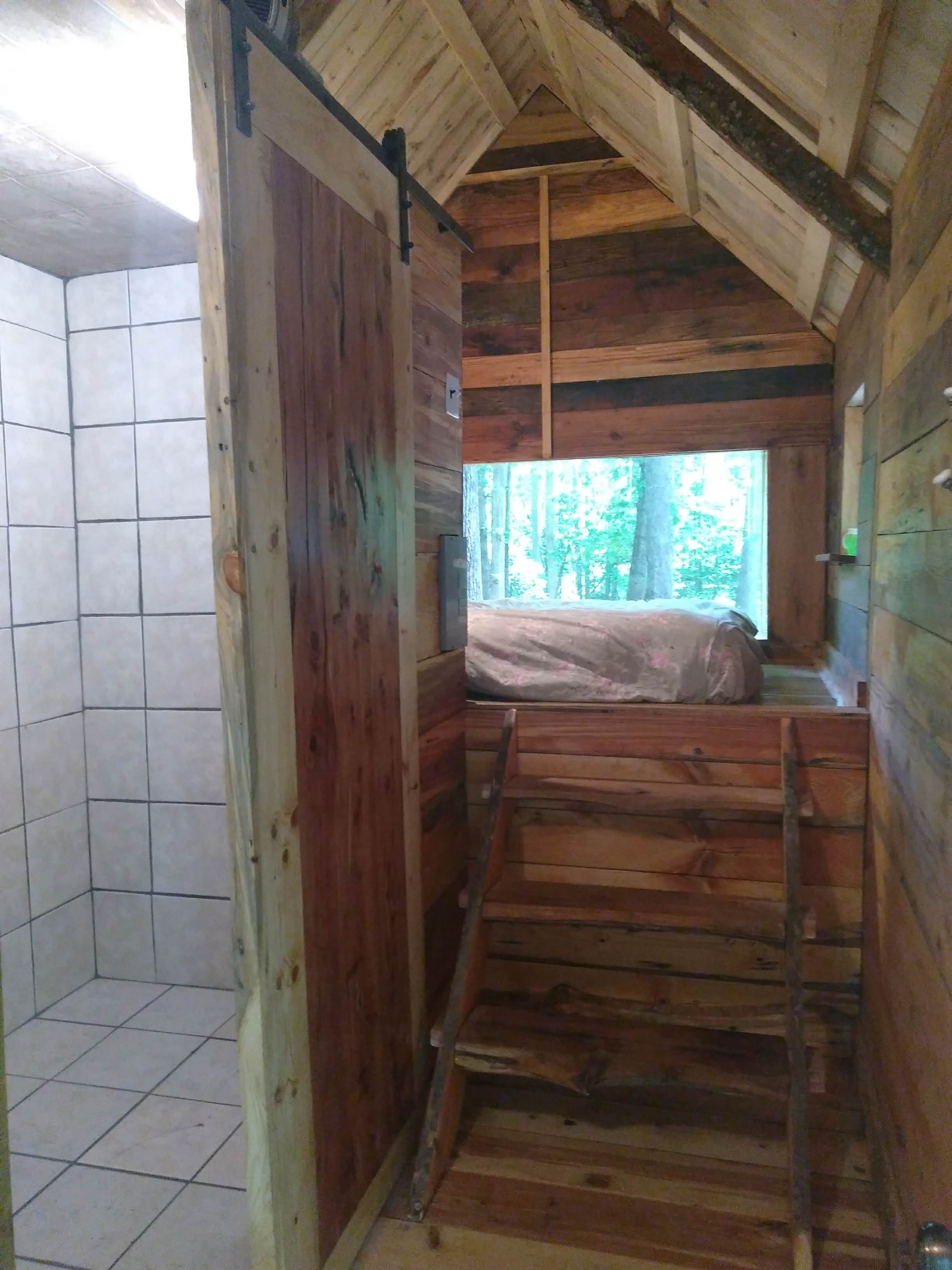 The Forest Sanctuary