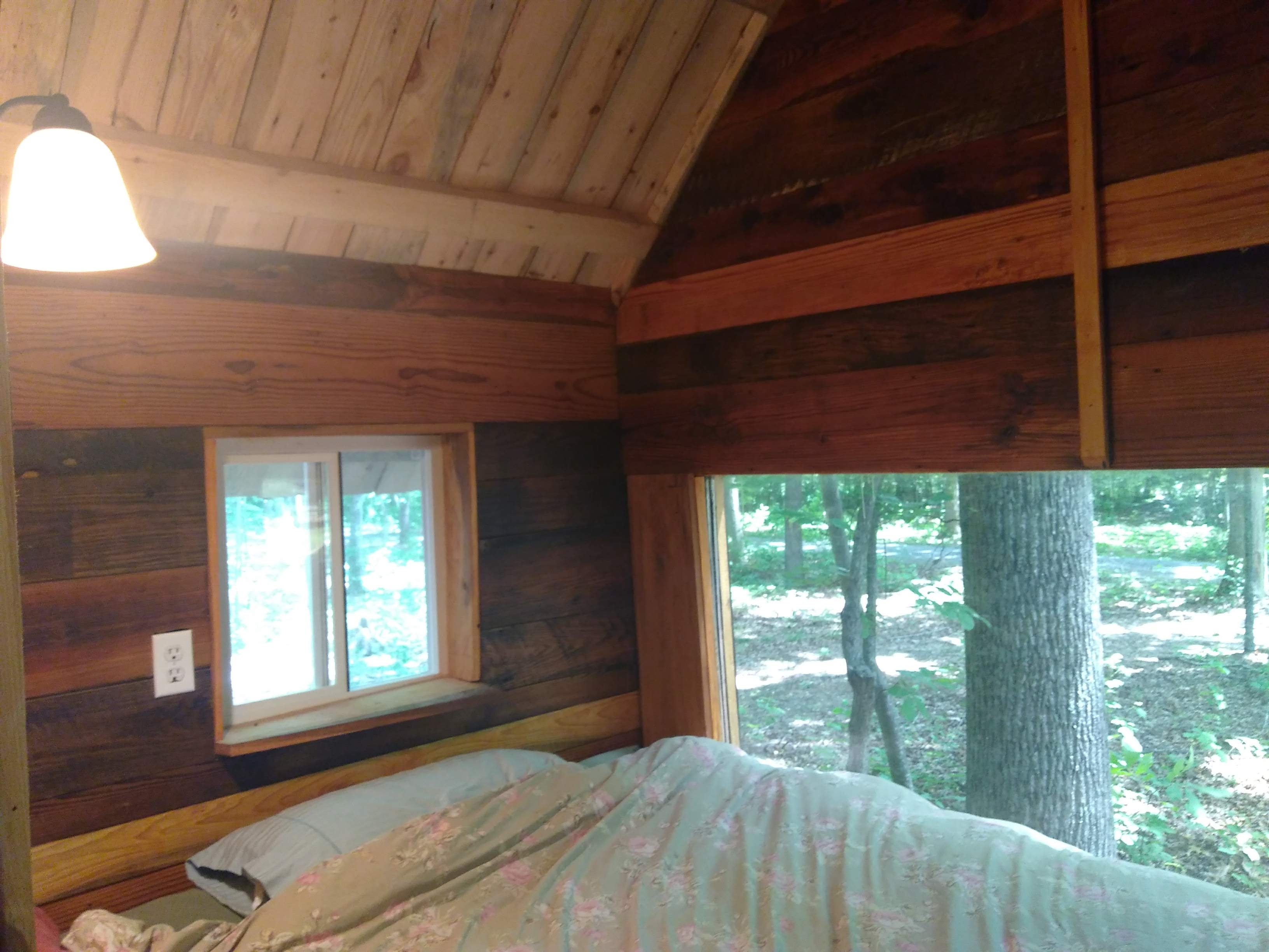 The Forest Sanctuary