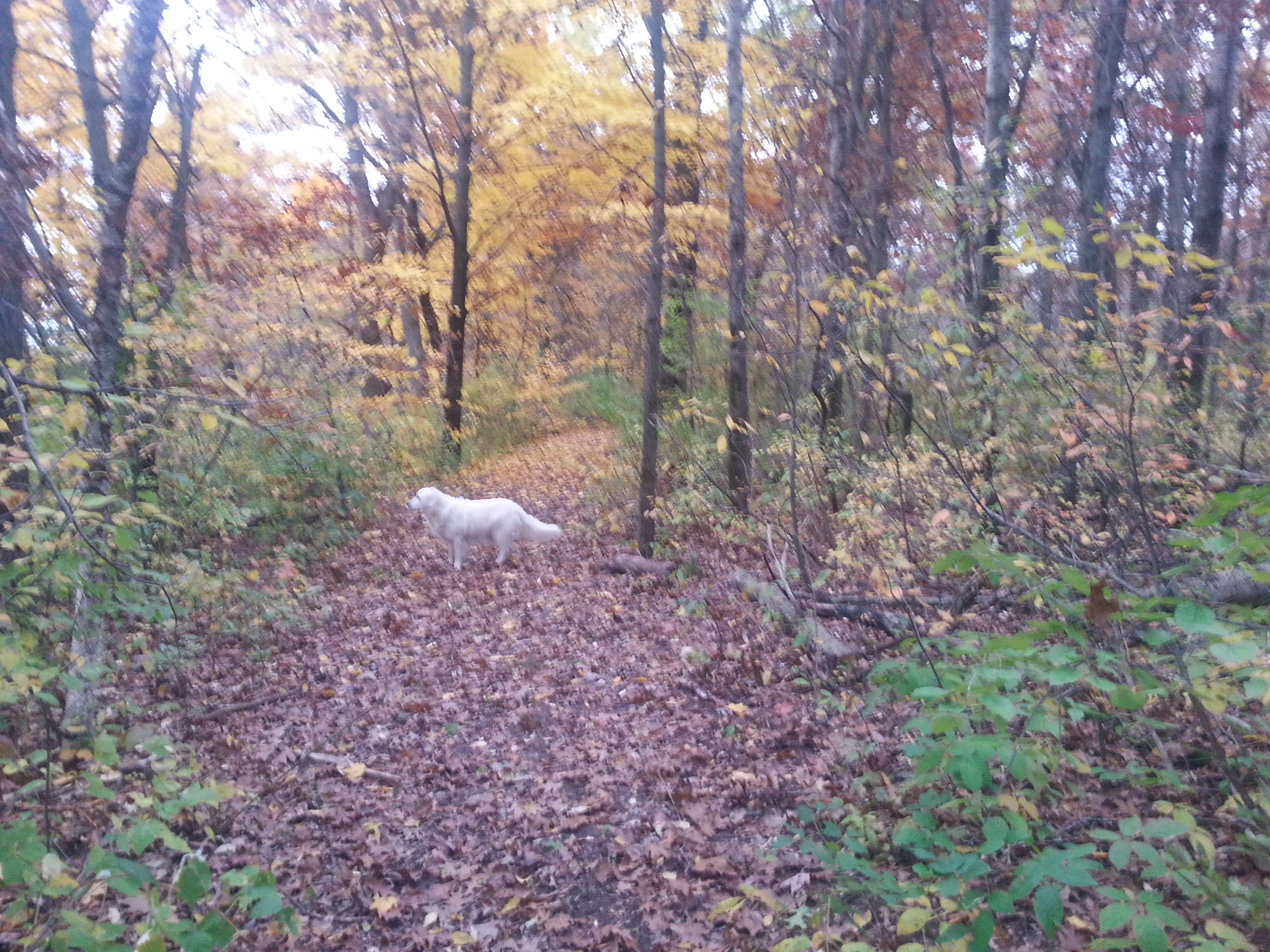 Fall on the private trails.