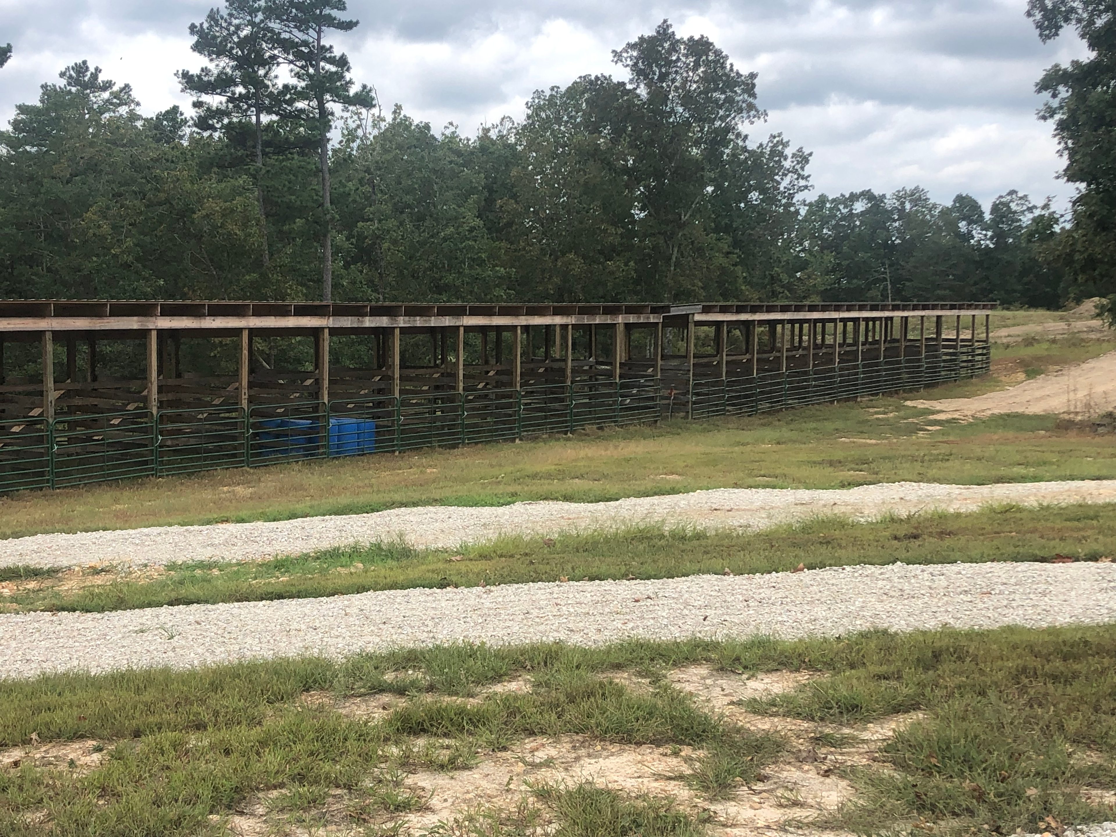 50 Horse Stalls