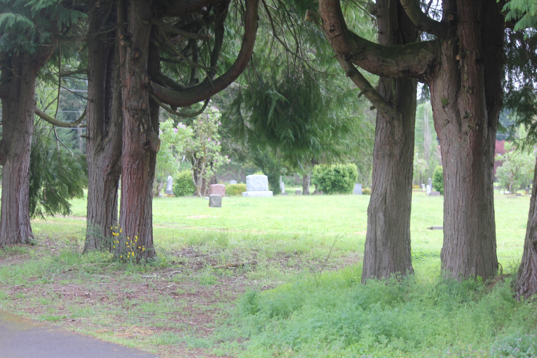 Old cemetery across from the driveway from the site. Really cool cemetery dating back to late 1800s!